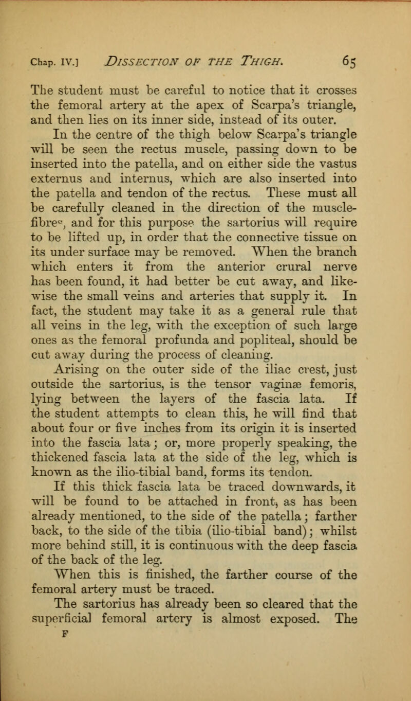 The student must be careful to notice that it crosses the femoral artery at the apex of Scarpa's triangle, and then lies on its inner side, instead of its outer. In the centre of the thigh below Scarpa's triangle will be seen the rectus muscle, passing down to be inserted into the patella, and on either side the vastus externus and internus, which are also inserted into the patella and tendon of the rectus. These must all be carefully cleaned in the direction of the niuscle- fibre^ and for this purpose the sartorius will require to be lifted up, in order that the connective tissue on its under surface may be removed. When the branch which enters it from the anterior crural nerve has been found, it had better be cut away, and like- wise the small veins and arteries that supply it. In fact, the student may take it as a general rule that all veins in the leg, with the exception of such large ones as the femoral profunda and popliteal, should be cut away during the process of cleaning. Arising on the outer side of the iliac crest, just outside the sartorius, is the tensor vaginae femoris, lying between the layers of the fascia lata. If the student attempts to clean this, he will find that about four or five inches from its origin it is inserted into the fascia lata; or, more properly speaking, the thickened fascia lata at the side of the leg, which is known as the ilio-tibial band, forms its tendon. If this thick fascia lata be traced downwards, it will be found to be attached in front, as has been already mentioned, to the side of the patella; farther back, to the side of the tibia (ilio-tibial band); whilst more behind still, it is continuous with the deep fascia of the back of the leg. When this is finished, the farther course of the femoral artery must be traced. The sartorius has already been so cleared that the superficial femoral artery is almost exposed. The