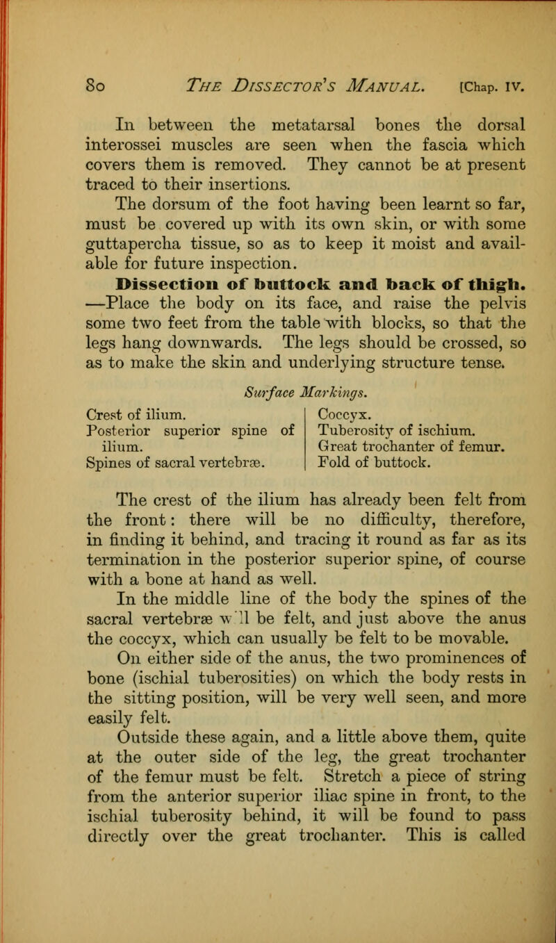 In between the metatarsal bones the dorsal interossei muscles are seen when the fascia which covers them is removed. They cannot be at present traced to their insertions. The dorsum of the foot having been learnt so far, must be covered up with its own skin, or with some guttapercha tissue, so as to keep it moist and avail- able for future inspection. Dissection of buttock and back of thigh. —Place the body on its face, and raise the pelvis some two feet from the table with blocks, so that the legs hang downwards. The legs should be crossed, so as to make the skin and underlying structure tense. Surface Markings. Crest of ilium. Posterior superior spine of ilium. Spines of sacral vertebras. Coccyx. Tuberosity of ischium. Great trochanter of femur. Fold of buttock. The crest of the ilium has already been felt from the front: there will be no difficulty, therefore, in finding it behind, and tracing it round as far as its termination in the posterior superior spine, of course with a bone at hand as well. In the middle line of the body the spines of the sacral vertebras w.'ll be felt, and just above the anus the coccyx, which can usually be felt to be movable. On either side of the anus, the two prominences of bone (ischial tuberosities) on which the body rests in the sitting position, will be very well seen, and more easily felt. Outside these again, and a little above them, quite at the outer side of the leg, the great trochanter of the femur must be felt. Stretch a piece of string from the anterior superior iliac spine in front, to the ischial tuberosity behind, it will be found to pass directly over the great trochanter. This is called