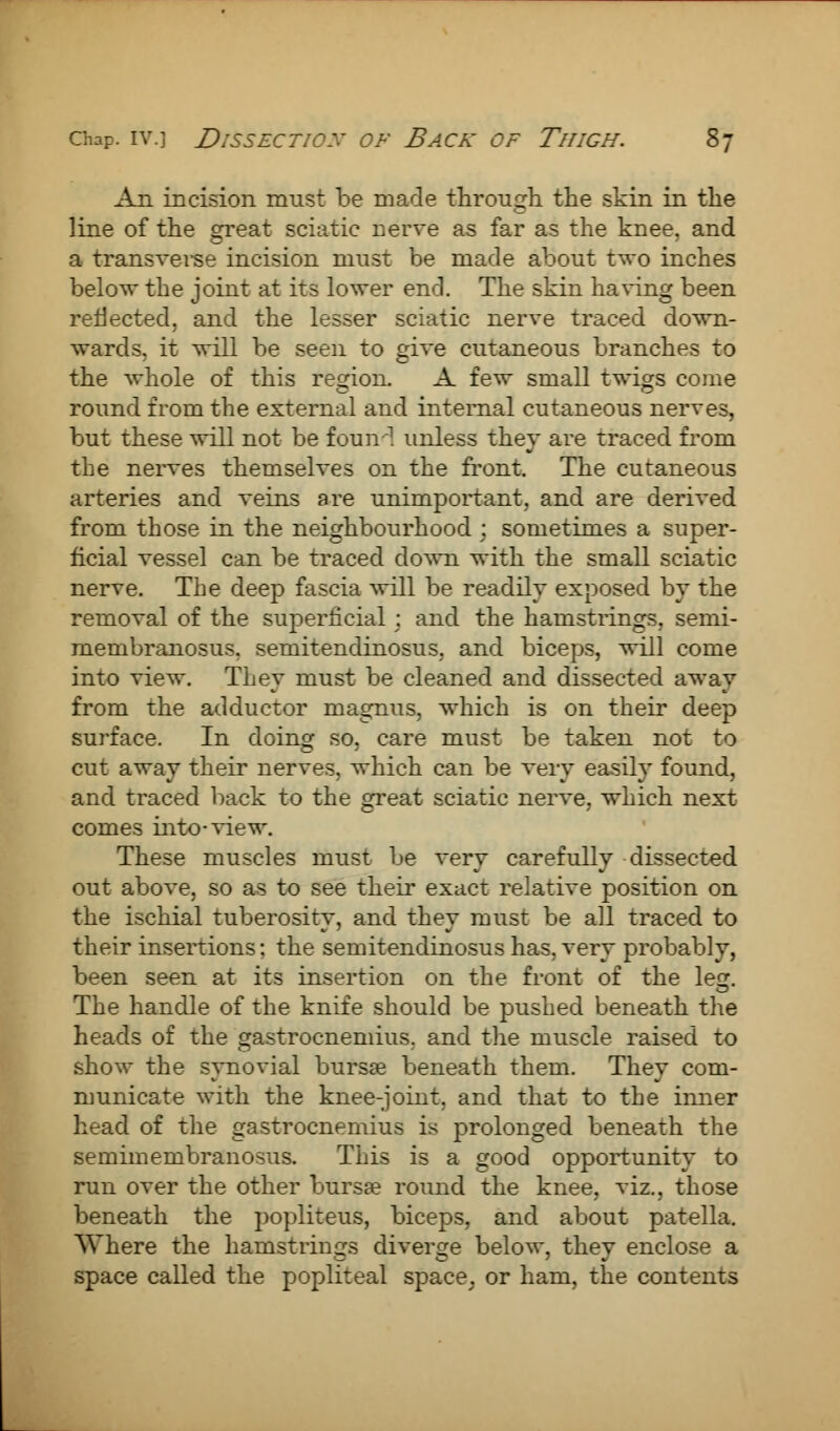 An incision must be made through the skin in the line of the great sciatic nerve as far as the knee, and a transverse incision mnst be made about two inches below the joint at its lower end. The skin having been reflected, and the lesser sciatic nerve traced down- wards, it will be seen to give cutaneous branches to the whole of this region. A few small twigs come round from the external and internal cutaneous nerves, but these will not be foun-1 unless they are traced from the nerves themselves on the front. The cutaneous arteries and veins are unimportant, and are derived from those in the neighbourhood ; sometimes a super- ficial vessel can be traced down with the small sciatic nerve. The deep fascia will be readily exposed by the removal of the superficial: and the hamstrings, semi- membranosus, semitendinosus, and biceps, will come into view. They must be cleaned and dissected away from the adductor magnus, which is on their deep surface. In doing so, care must be taken not to cut away their nerves, which can be very easily found, and traced back to the great sciatic nerve, which next comes into-view. These muscles must be very carefully dissected out above, so as to see their exact relative position on the ischial tuberosity, and they must be all traced to their insertions; the semitendinosus has, very probably, been seen at its insertion on the front of the leg. The handle of the knife should be pushed beneath the heads of the gastrocnemius, and the muscle raised to show the synovial bursse beneath them. They com- municate with the knee-joint, and that to the imier head of the gastrocnemius is prolonged beneath the semimembranosus. This is a good opportunity to run over the other bursa? round the knee, viz., those beneath the popliteus, biceps, and about patella. Where the hamstrings diverge below, they enclose a space called the popliteal space, or ham, the contents