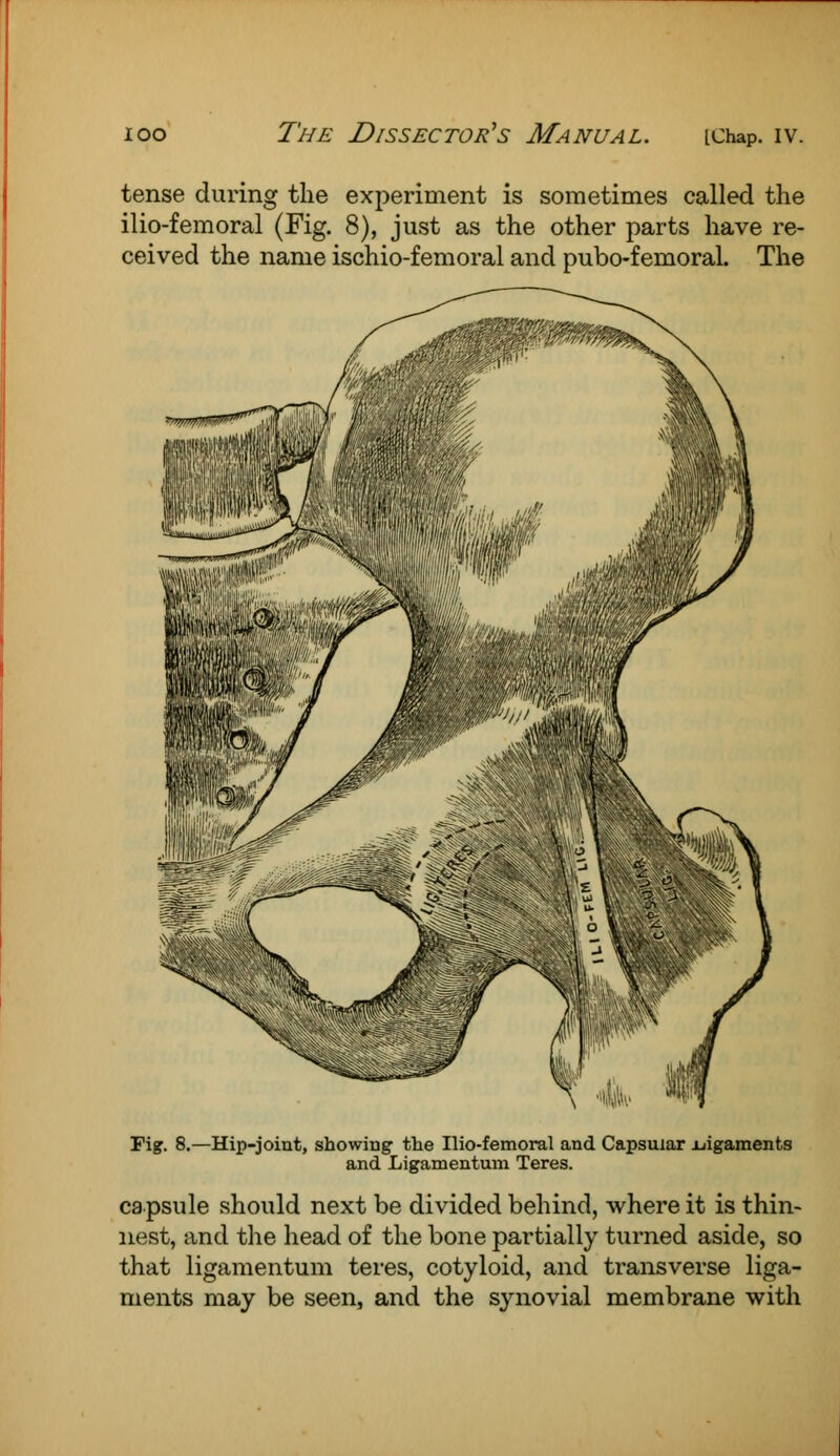 tense during the experiment is sometimes called the ilio-femoral (Fig. 8), just as the other parts have re- ceived the name ischio-femoral and pubo-femoraL The Tig. 8.—Hip-joint, showing the Ilio-femoral and Capsular ijigaments and Ligament urn Teres. capsule should next be divided behind, where it is thin- nest, and the head of the bone partially turned aside, so that ligamentum teres, cotyloid, and transverse liga- ments may be seen, and the synovial membrane with