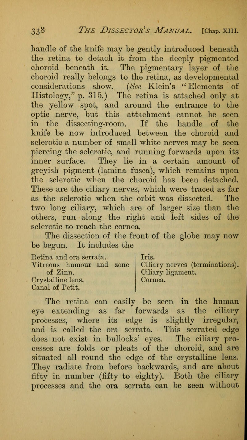 handle of the knife may be gently introduced beneath the retina to detach it from the deeply pigmented choroid beneath it. The pigmentary layer of the choroid really belongs to the retina, as developmental considerations show. (See Klein's Elements of Histology, p. 315.) The retina is attached only at the yellow spot, and around the entrance to the optic nerve, but this attachment cannot be seen in the dissecting-room. If the handle of the knife be now introduced between the choroid and sclerotic a number of small white nerves may be seen piercing the sclerotic, and running forwards upon its inner surface. They lie in a certain amount of greyish pigment (lamina fusca), which remains upon the sclerotic when the choroid has been detached. These are the ciliary nerves, which were traced as far as the sclerotic when the orbit was dissected. The two long ciliary, which are of larger size than the others, run along the right and left sides of the sclerotic to reach the cornea. The dissection of the front of the globe may now be begun. It includes the Iris. Ciliary nerves (terminations). Ciliary ligament. Cornea. Retina and ora serrata. Vitreous humour and zone of Zinn. Crystalline lens. Canal of Petit. The retina can easily be seen in the human eye extending as far forwards as the ciliary processes, where its edge is slightly irregular, and is called the ora serrata. This serrated edge does not exist in bullocks' eyes. The ciliary pro- cesses are folds or pleats of the choroid, and are situated all round the edge of the crystalline lens. They radiate from before backwards, and are about fifty in number (fifty to eighty). Both the ciliary processes and the ora serrata can be seen without