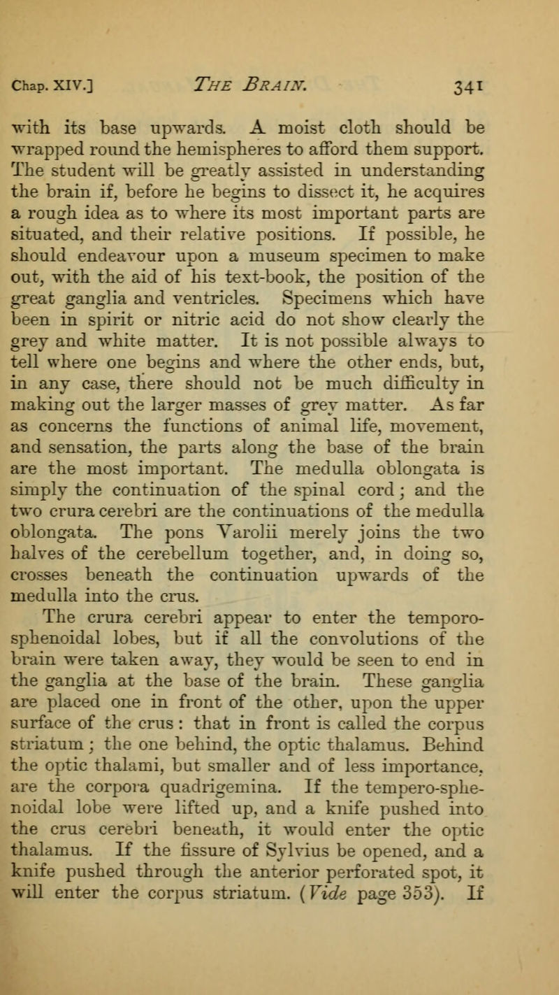 with its base upwards. A moist cloth should be wrapped round the hemispheres to afford them support. The student will be greatly assisted in understanding the brain if, before he begins to dissect it, he acquires a rough idea as to where its most important parts are situated, and their relative positions. If possible, he should endeavour upon a museum specimen to make out, with the aid of his text-book, the position of the great ganglia and ventricles. Specimens which have been in spirit or nitric acid do not show clearly the grey and white matter. It is not possible always to tell where one begins and where the other ends, but, in any case, there should not be much difficulty in making out the larger masses of grev matter. As far as concerns the functions of animal life, movement, and sensation, the parts along the base of the brain are the most important. The medulla oblongata is simply the continuation of the spinal cord; and the two crura cerebri are the continuations of the medulla oblongata. The pons Varolii merely joins the two halves of the cerebellum together, and, in doing so, crosses beneath the continuation upwards of the medulla into the crus. The crura cerebri appear to enter the temporo- sphenoidal lobes, but if all the convolutions of the brain were taken away, they would be seen to end in the ganglia at the base of the brain. These ganglia are placed one in front of the other, upon the upper surface of the crus : that in front is called the corpus striatum ; the one behind, the optic thalamus. Behind the optic thalami, bat smaller and of less importance, are the corpora quadrigemina. If the tempero-sphe- noidal lobe were lifted up, and a knife pushed into the crus cerebri beneath, it would enter the optic thalamus. If the fissure of Sylvius be opened, and a knife pushed through the anterior perforated spot, it will enter the corpus striatum. (Vide page 353). If