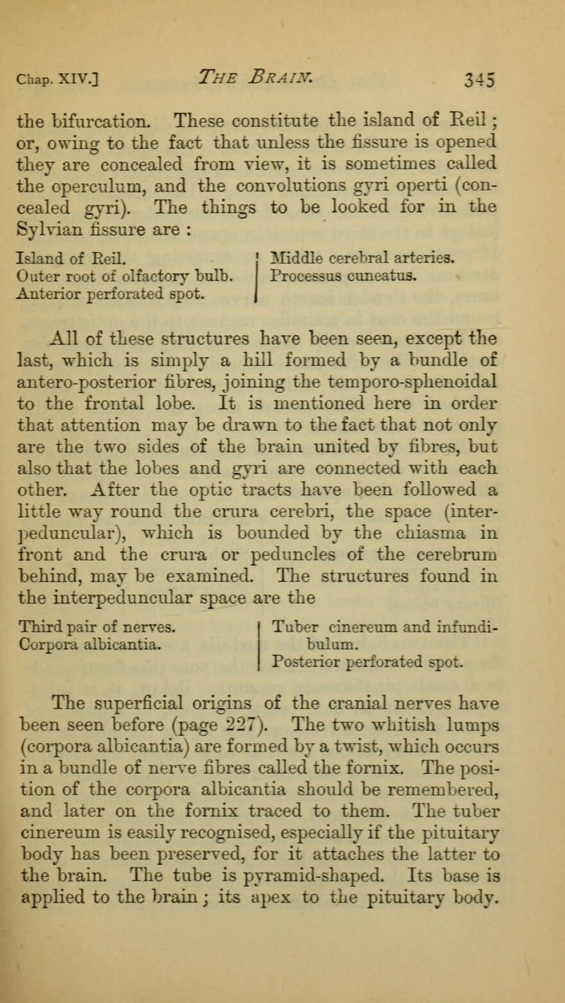the bifurcation. These constitute the island of Reil; or, owing to the fact that unless the fissure is opened they are concealed from view, it is sometimes called the operculum, and the convolutions gyri operti (con- cealed gyri). The things to be looked for in the Sylvian fissure are : Island of Eeil. ! ^Middle cerebral arteries. Outer root of olfactory bulb. Processus corneatus. Anterior perforated spot. | All of these structures have been seen, except the last, which is simply a hill formed by a bundle of antero-posterior fibres, joining the temporo-sphenoidal to the frontal lobe. It is mentioned here in order that attention may be drawn to the fact that not only are the two sides of the brain united by fibres, but also that the lobes and gyii are connected with each other. After the optic tracts have been followed a little way round the crura cerebri, the space (inter- peduncular), which is bounded by the chiasms in front and the crura or peduncles of the cerebrum behind, may be examined. The structures found in the interpeduncular space are the Third pair of nerves. Corpora albicantia. Tuber cinereum and infundi- bulum. Posterior perforated spot. The superficial origins of the cranial nerves have been seen before (page 227). The two whitish lumps (corpora albicantia) are formed by a twist, which occurs in a bundle of nerve fibres called the fornix. The posi- tion of the corpora albicantia should be remembered, and later on the fornix traced to them. The tuber cinereum is easily recognised, especially if the pituitary body has been preserved, for it attaches the latter to the brain The tube is pyramid-shaped. Its base is applied to the brain; its apex to the pituitary body.