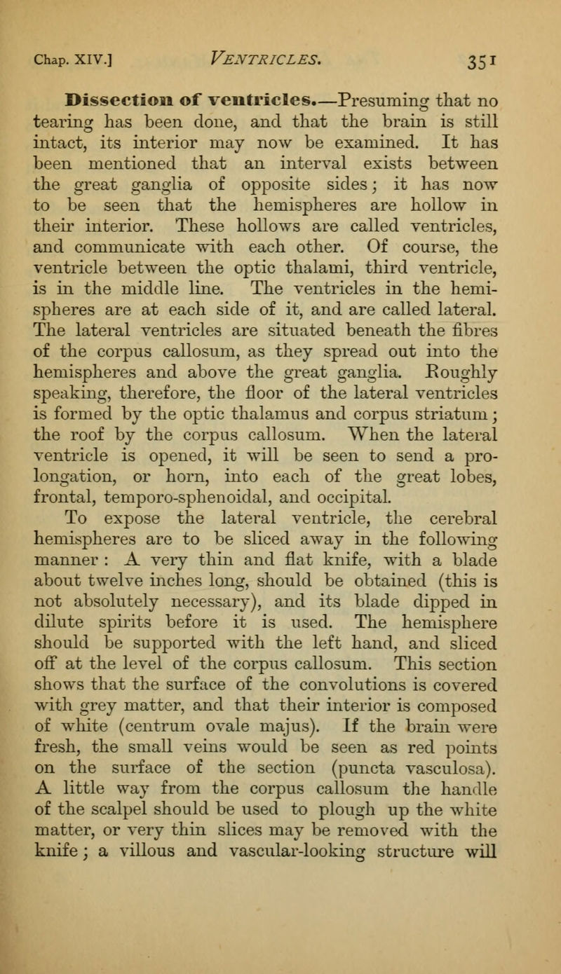 Dissection of ventricles.—Presuming that no tearing has been done, and that the brain is still intact, its interior may now be examined. It has been mentioned that an interval exists between the great ganglia of opposite sides; it has now to be seen that the hemispheres are hollow in their interior. These hollows are called ventricles, and communicate with each other. Of course, the ventricle between the optic thalami, third ventricle, is in the middle line. The ventricles in the hemi- spheres are at each side of it, and are called lateral. The lateral ventricles are situated beneath the fibres of the corpus callosum, as they spread out into the hemispheres and above the great ganglia. Roughly speaking, therefore, the floor of the lateral ventricles is formed by the optic thalamus and corpus striatum; the roof by the corpus callosum. When the lateral ventricle is opened, it will be seen to send a pro- longation, or horn, into each of the great lobes, frontal, temporo-sphenoidal, and occipital. To expose the lateral ventricle, the cerebral hemispheres are to be sliced away in the following manner : A very thin and flat knife, with a blade about twelve inches long, should be obtained (this is not absolutely necessary), and its blade dipped in dilute spirits before it is used. The hemisphere should be supported with the left hand, and sliced off at the level of the corpus callosum. This section shows that the surface of the convolutions is covered with grey matter, and that their interior is composed of white (centrum ovale majus). If the brain were fresh, the small veins would be seen as red points on the surface of the section (puncta vasculosa). A little way from the corpus callosum the handle of the scalpel should be used to plough up the white matter, or very thin slices may be removed with the knife; a villous and vascular-looking structure will