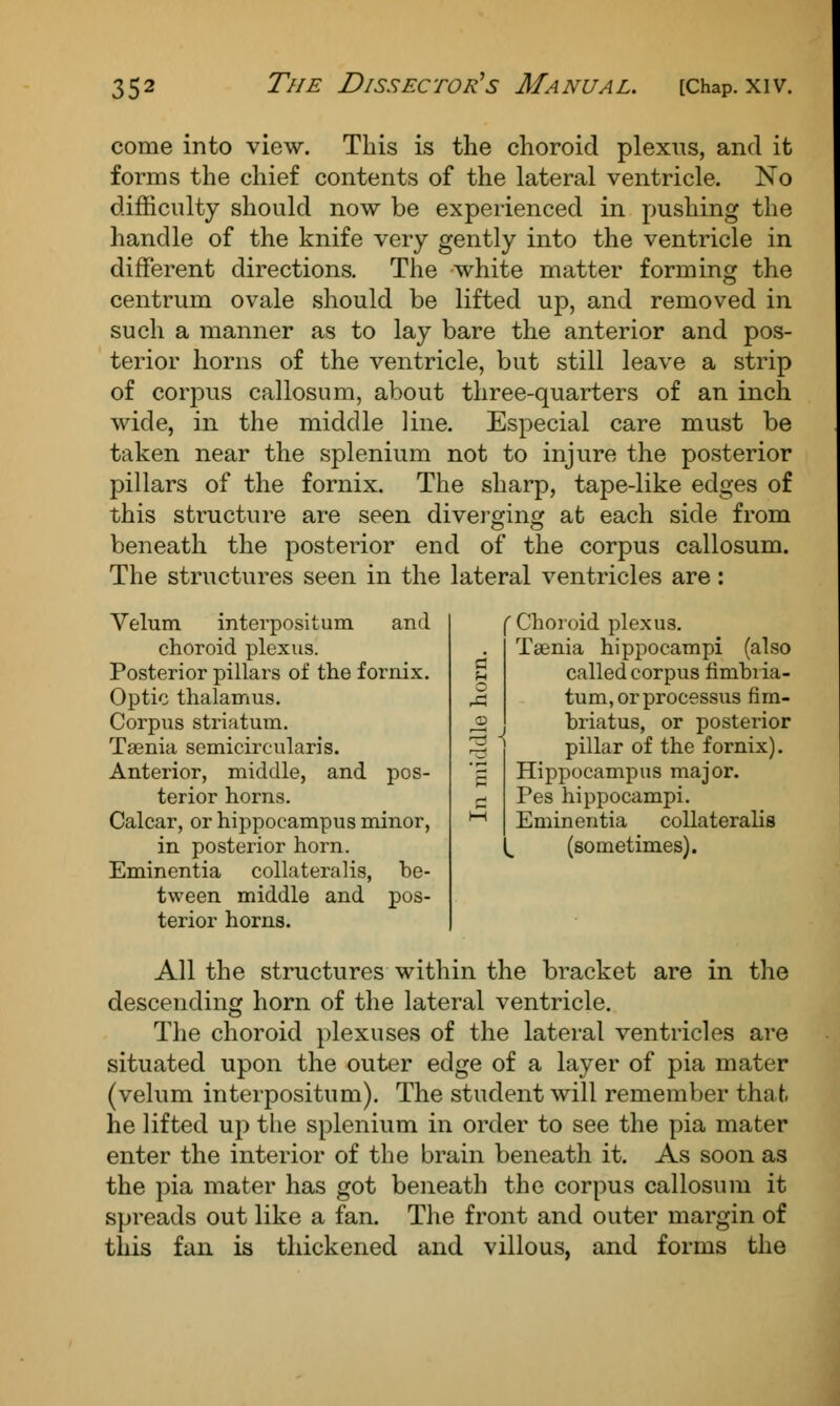 come into view. This is the choroid plexus, and it forms the chief contents of the lateral ventricle. No difficulty should now be experienced in pushing the handle of the knife very gently into the ventricle in different directions. The white matter forming the centrum ovale should be lifted up, and removed in such a manner as to lay bare the anterior and pos- terior horns of the ventricle, but still leave a strip of corpus callosum, about three-quarters of an inch wide, in the middle line. Especial care must be taken near the splenium not to injure the posterior pillars of the fornix. The sharp, tape-like edges of this structure are seen diverging at each side from beneath the posterior end of the corpus callosum. The structures seen in the lateral ventricles are: Velum interpositum and choroid plexus. Posterior pillars of the fornix. Optic thalamus. Corpus striatum. Taenia semicircularis. Anterior, middle, and pos- terior horns. Calcar, or hippocampus minor, in posterior horn. Eminentia collateralis, be- tween middle and pos- terior horns. ( Choroid plexus. Taenia hippocampi (also called corpus nmbi ia- tum, or processus fim- briatus, or posterior pillar of the fornix). Hippocampus major. Pes hippocampi. Eminentia collateralis (sometimes). All the structures within the bracket are in the descending horn of the lateral ventricle. The choroid plexuses of the lateral ventricles are situated upon the outer edge of a layer of pia mater (velum interpositum). The student will remember that he lifted up the splenium in order to see the pia mater enter the interior of the brain beneath it. As soon as the pia mater has got beneath the corpus callosum it spreads out like a fan. The front and outer margin of this fan is thickened and villous, and forms the