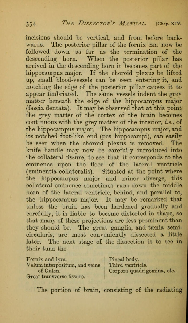 incisions should be vertical, and from before back- wards. The posterior pillar of the fornix can now be followed down as far as the termination of the descending horn. When the posterior pillar has arrived in the descending horn it becomes part of the hippocampus major. If the choroid plexus be lifted up, small blood-vessels can be seen entering it, and notching the edge of the posterior pillar causes it to appear fimbriated. The same vessels indent the grey matter beneath the edge of the hippocampus major (fascia dentata). It may be observed that at this point the grey matter of the cortex of the brain becomes continuous with the grey matter of the interior, i.e., of the hippocampus major. The hippocampus major, and its notched foot-like end (pes hippocampi), can easily be seen when the choroid plexus is removed. The knife handle may now be carefully introduced into the collateral fissure, to see that it corresponds to the eminence upon the floor of the lateral ventricle (eminentia collateralis). Situated at the point where the hippocampus major and minor diverge, this collateral eminence sometimes runs down the middle horn of the lateral ventricle, behind, and parallel to, the hippocampus major. It may be remarked that unless the brain has been hardened gradually and carefully, it is liable to become distorted in shape, so that many of these projections are less prominent than they should be. The great ganglia, and taenia semi- circularis, are most conveniently dissected a little later. The next stage of the dissection is to see in their turn the Fornix and lyra. Pineal body. Velum interpositum, and veins Third ventricle. of Galen. Corpora quadrigemina, etc. Great transverse fissure. The portion of brain, consisting of the radiating