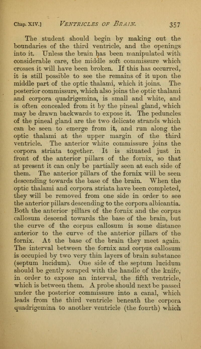 The student should begin by making out the boundaries of the third ventricle, and the openings into it. Unless the brain has been manipulated with considerable care, the middle soft commissure which crosses it will have been broken. If this has occurred, it is still possible to see the remains of it upon the middle part of the optic thalami, which it joins. The posterior commissure, which also joins the optic thalami and corpora quadrigemina, is small and white, and is often concealed from it by the pineal gland, which may be drawn backwards to expose it. The peduncles of the pineal gland are the two delicate strands which can be seen to emerge from it, and run along the optic thalami at the upper margin of the third ventricle. The anterior white commissure joins the corpora striata together. It is situated just in front of the anterior pillars of the fornix, so that at present it can only be partially seen at each side of them. The anterior pillars of the fornix will be seen descending towards the base of the brain. When the optic thalami and corpora striata have been completed, they will be removed from one side in order to see the anterior pillars descending to the corpora albicantia. Both the anterior pillars of the fornix and the corpus callosum descend towards the base of the brain, but the curve of the corpus callosum is some distance anterior to the curve of the anterior pillars of the fornix. At the base of the brain they meet again. The interval between the fornix and corpus callosum is occupied by two very thin layers of brain substance (septum lucidum). One side of the septum lucidum should be gently scraped with the handle of the knife, in order to expose an interval, the fifth ventricle, which is between them. A probe should next be passed under the posterior commissure into a canal, which leads from the third ventricle beneath the corpora quadrigemina to another ventricle (the fourth) which