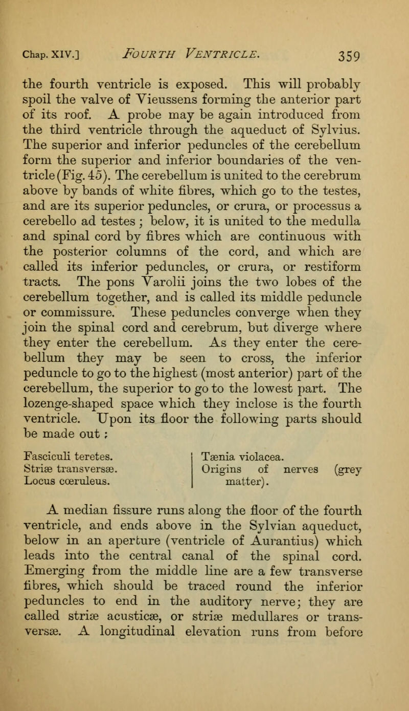 the fourth ventricle is exposed. This will probably spoil the valve of Vieussens forming the anterior part of its roof. A probe may be again introduced from the third ventricle through the aqueduct of Sylvius. The superior and inferior peduncles of the cerebellum form the superior and inferior boundaries of the ven- tricle (Fig. 45). The cerebellum is united to the cerebrum above by bands of white fibres, which go to the testes, and are its superior peduncles, or crura, or processus a cerebello ad testes ; below, it is united to the medulla and spinal cord by fibres which are continuous with the posterior columns of the cord, and which are called its inferior peduncles, or crura, or restiform tracts. The pons Varolii joins the two lobes of the cerebellum together, and is called its middle peduncle or commissure. These peduncles converge when they join the spinal cord and cerebrum, but diverge where they enter the cerebellum. As they enter the cere- bellum they may be seen to cross, the inferior peduncle to go to the highest (most anterior) part of the cerebellum, the superior to go to the lowest part. The lozenge-shaped space which they inclose is the fourth ventricle. Upon its floor the following parts should be made out ; Fasciculi teretes. Striae transversae. Locus coeruleus. Taenia violacea. Origins of nerves (grey matter). A median fissure runs along the floor of the fourth ventricle, and ends above in the Sylvian aqueduct, below in an aperture (ventricle of Aurantius) which leads into the central canal of the spinal cord. Emerging from the middle line are a few transverse fibres, which should be traced round the inferior peduncles to end in the auditory nerve; they are called striae acusticse, or striae medullares or trans- versae. A longitudinal elevation runs from before