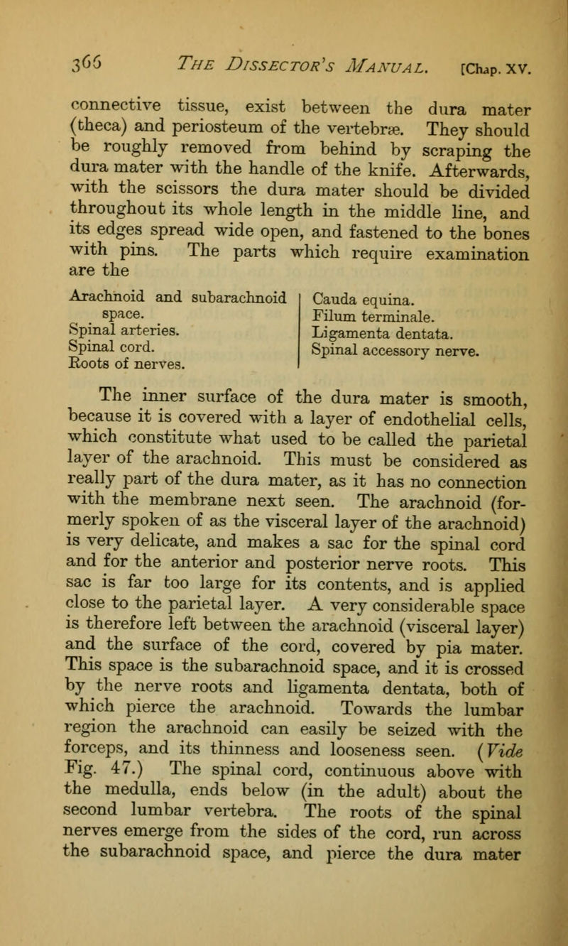 connective tissue, exist between the dura mater (theca) and periosteum of the vertebra?. They should be roughly removed from behind by scraping the dura mater with the handle of the knife. Afterwards, with the scissors the dura mater should be divided throughout its whole length in the middle line, and its edges spread wide open, and fastened to the bones with pins. The parts which require examination are the Arachnoid and subarachnoid space. Spinal arteries. Spinal cord. Roots of nerves. Cauda equina. Filum terminale. Ligamenta dentata. Spinal accessory nerve. The inner surface of the dura mater is smooth, because it is covered with a layer of endothelial cells, which constitute what used to be called the parietal layer of the arachnoid. This must be considered as really part of the dura mater, as it has no connection with the membrane next seen. The arachnoid (for- merly spoken of as the visceral layer of the arachnoid) is very delicate, and makes a sac for the spinal cord and for the anterior and posterior nerve roots. This sac is far too large for its contents, and is applied close to the parietal layer. A very considerable space is therefore left between the arachnoid (visceral layer) and the surface of the cord, covered by pia mater. This space is the subarachnoid space, and it is crossed by the nerve roots and ligamenta dentata, both of which pierce the arachnoid. Towards the lumbar region the arachnoid can easily be seized with the forceps, and its thinness and looseness seen. (Vide Fig. 47.) The spinal cord, continuous above with the medulla, ends below (in the adult) about the second lumbar vertebra. The roots of the spinal nerves emerge from the sides of the cord, run across the subarachnoid space, and pierce the dura mater