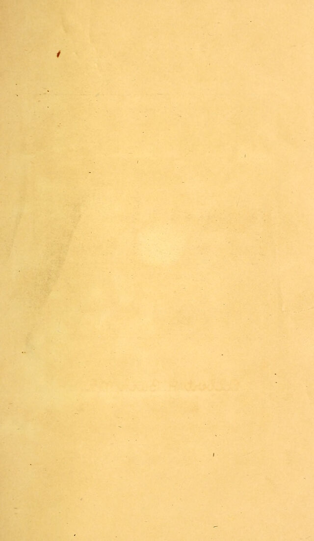 digitised image 3