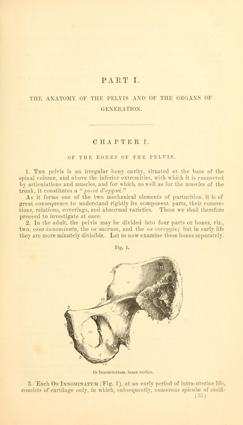 PART I. THE ANATOMY OF THE PELVIS AND OF THE ORGANS OF GENERATION. C IT A PTER I. OF THE BOXES OF THE PELVIS. 1. The pelvis is an irregular bony cavity, situated at the base of the spinal column, and above the inferior extremities, with which it is connected by articulations and muscles, and for which, as well as for the muscles of the trunk, it constitutes a point d'appui. As it forms one of the two mechanical elements of parturition, it is of great consequence to understand rightly its component parts, their connec- tions, relations, covering's, and abnormal varieties. These we shall therefore proceed to investigate at once. 2. In the adult, the pelvis may be divided into four parts or bones, viz., two, ossa innominata, the os sacrum, and the os coccygis; but in early life they are more minutely divisible. Let us now examine these bones separately. Fig. 1. Os Innominatnm, inner surface. 3. Each Os Innominatum Fig. 1), a1 an early period of intra-uterine life, consists of cartilage only, in which, subsequently, numerous spiculee oi