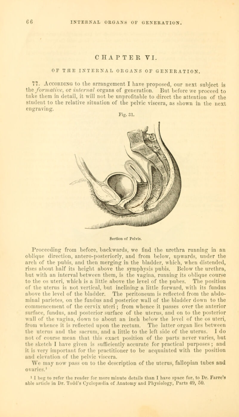 C HA PTER VI. OF THE INTERNAL ORGANS OF GENERATION. 17. According to the arrangement I have proposed, our next subject is the formative, or internal organs of generation. Bui before we proceed to take them in detail, it will not be unprofitable to direct the attention of the student to the relative situation of the pelvic viscera, as Bhown in the next engraving. Fig. 31. Section of Telvis. Proceeding from before, backwards, we find the urethra running in an oblique direction, antero-posteriorly, and from below, upwards, under the arch of the pubis, and then merging in the bladder, which, when distended, rises aboul half its heighl above the symphysis pubis. Below the urethra, but with an interval between them, is the vagina, running its oblique course to the 08 uteri, which is a little above the level of the pubes. The position of the uterus is not vertical, but inclining a little forward, with its fundus above the level of the bladder. The peritoneum IS reflected from the abdo- minal parietes, on the fundus and posterior wall of the bladder down to the commencement of the cervix uteri; from whence it passes over the anterior surface, fundus, and posterior surface of the uterus, and on to the posterior wall of the vagina, down to about an inch below the level of the os uteri, from whence it is reflected upon the rectum. The latter organ lies between the Uterus and the sacrum, and a little to the left side of the uterus. 1 do not of course mean that this exacl position of the parts never varies, but. the sketch I have given LE .-ullicient ly accurate For practical purposes ; and ii i very important for the practitioner to be acquainted with the position and elevation of the pehic viscera. We may now pase on to the description of the uterus, fallopian tubes and ovaries.1 1 I beg to refer the reader for more minute details thrm 1 have Bpaoe for, to Dr. Farre'i able article in Dr. Todd's Cyclopaedia of anatomy and Physiology, Parts 49, <r)0.