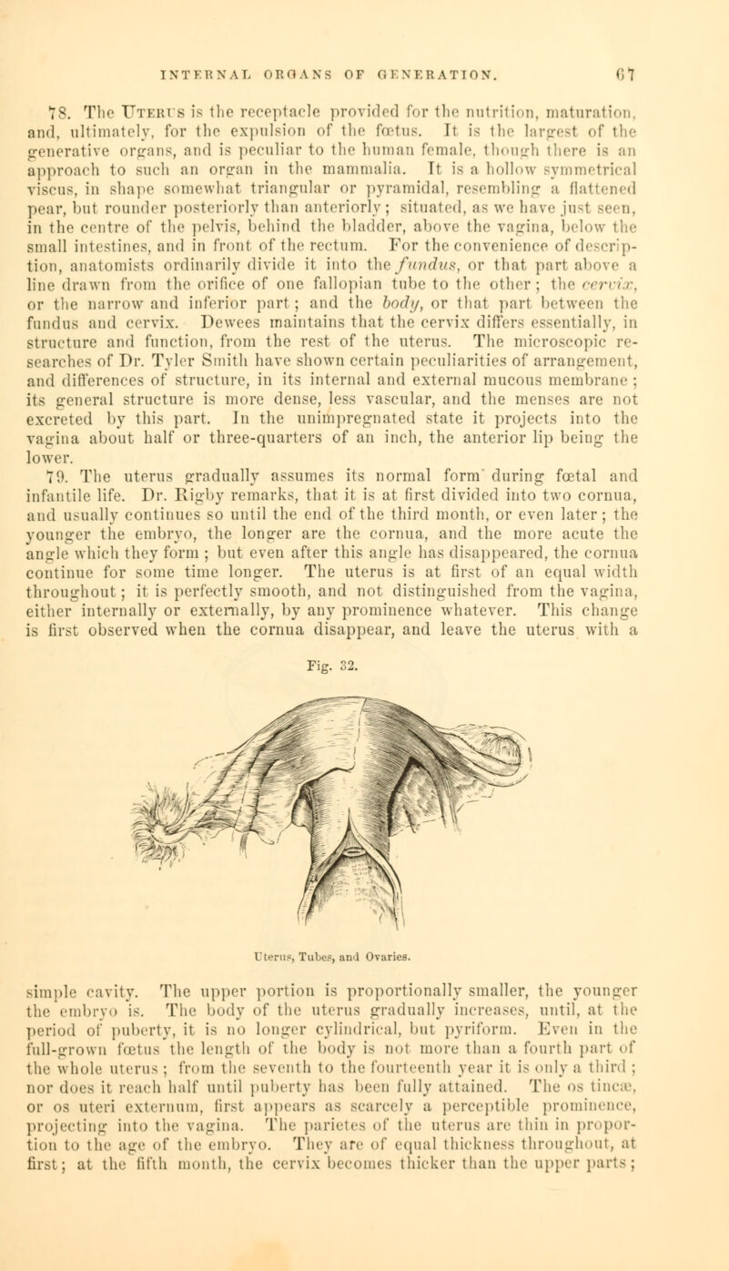 78. The Uterus is the receptacle provided for the nutrition, maturation, and, ultimately, for tlio expulsion of the foetus. It is the largest of the generative organs, and is peculiar to the human female, though there is an approach to Buch an organ in the mammalia. It is a hollow symmetrical viscus, in shape bo me what triangular or pyramidal, resembling a flattened pear, but rounder posteriorly than anteriorly ; situated, as we have jusl Been, in the centre of the pelvis, behind the bladder, above the vagina, below the small intestines, and in front of the rectum. For the convenience of descrip- tion, anatomists ordinarily divide it into the fundus, or that part above a line drawn from the orifice of one fallopian tube to the other; the cervix, or the narrow and inferior part ; and the bod;/, or that pari between the fundus and cervix. Dewees maintains that the cervix differs essentially, in stnieture and function, from the rest of the uterus. The microscopic re- searches of Dr. Tyler Smith have shown certain peculiarities of arrangement, and differences of structure, in its internal and external mucous membrane : its general structure is more dense, less vascular, and the menses are not excreted by this part. In the unimpregnated state it projects into the vagina about half or three-quarters of an inch, the anterior lip being the lower. T9. The uterus gradually assumes its normal form' during foetal and infantile life. Dr. Rigby remarks, that it is at first divided into two cornua, and usually continues so until the end of the third month, or even later; the younger the embryo, the longer are the cornua, and the more acute the angle which they form ; but even after this angle has disappeared, the cornua continue for some time longer. The uterus is at first of an equal width throughout; it is perfectly smooth, and riot distinguished from the vagina, either internally or externally, by any prominence whatever. This change is first observed when the cornua disappear, and leave the uterus with a Fig. 32. Uterus, Tube?, and Ovaries. simple cavity. The upper portion is proportionally smaller, the younger the embryo is. The body of the uterus gradually increases, until, at the period of puberty, it is no longer cylindrical, but pyriform. Even in the full-grown bet us the length of the body is not more than a fourth part of the whole uterus ; from the seventh to the fourteenth year it is only a third ; nor does it reach half until puberty has been fully attained. The os tinea'. or os uteri externum, first appears as scarcely a perceptible prominence, projecting into the vagina. The parietes of the uterus are thin in propor- tion to the age of the embryo. They are of equal thickness throughout, at first; at the fifth month, the cervix becomes thicker than the upper parts;