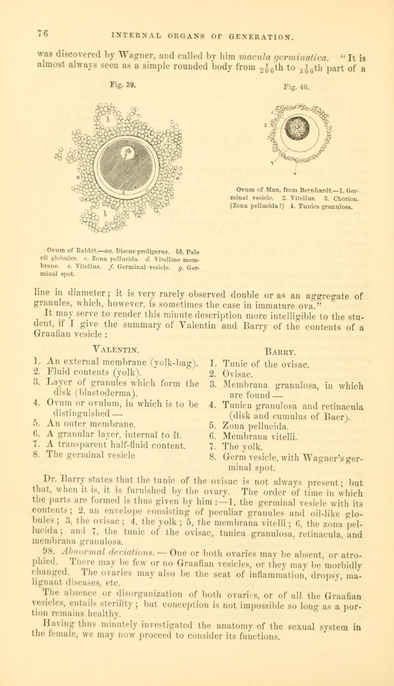 7G was discovered by Wagner, and called by him macula germinativa.  It is almost always seen as a simple rounded body from Tjc')0th to 5^th part of a Fig. 39. Fie. 40. Ovum of Man, from Bernhardt.—1. Ger- minal vesicle. 2. Yitellus. 3. Chorion. (Zona pellucida?) 4. Tunica granulosa. Ovum of Rabbit.—aa. Discus proligerus. bb. Pale oil globules, e. Zona pellucida. d. Vitelline mem- brane, e. Yitellus. /. Germinal vesicle, g. Ger- minal spot. line m diameter; it is very rarely observed double or as an aggregate of granules, which, however, is sometimes the ease in immature ova. It may serve to render this minute description more intelligible to the stu- dent, if I give the summary of Valentin and Barry of the contents of a Graafian vesicle : Valentin. 1. An external membrane (yolk-bag). 2. Fluid contents (yolk). 3. Layer of granules which form the disk (blastoderma). 4. Ovum or ovulum, in which is to be distinguished — 5. A n outer membrane. 6. A granular layer, internal to it. 7. A transparent half-fluid content. 8. The germinal vesicle Barky. 1. Tunic of the ovisac. 2. Ovisac. 3. Membrana granulosa, in which are found — 4. Tunica granulosa and retinacula (disk and cumulus of Baer). Zona pellucida. Membrana vitelli. The yolk. agner s ger Germ vesicle, with W minal spot. Dr. Harry slates that the tunic of the ovisac is nol always present; but t,l:l,> w1' il is, it is furnished by the ovary. The order of time i„ which the parts are formed is thus given by him : — l, the germinal vesicle with its contents; 2. an envelope consisting of peculiar granules and oil-like glo- 1,,llrS '■>■ ',1 ovisac; I. the yolk ; 5, the nienibrana vitelli ; 6, the zona pel- licula; aid 7. the tunic of the ovisac, tunica, granulosa, retinacula, and membrana granulosa. 98. Abnormal deviations. — One or both ovaries may be absent, or atro- phied- There may be feu or no Graafian vesicles, or they may be morbidly changed. The ovaries may also be the seat of inflammation, dropsy ma- lignant diseases, etc. The absence or disorganization of both ovaries, or of all the Graafian vehicles entails sterility ; but conception is not impossible so long as a por- tion remains healthy. Saving thus minutely investigated tin- anatomy of the sexual svstem in the f.-inale, we may now proceed to consider its functions.