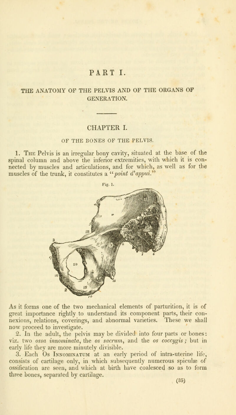 PART I. THE ANATOMY OF THE PELVIS AND OF THE ORGANS OF GENERATION. CHAPTER I. OF THE BONES OF THE PELVIS. 1. The Pelvis is an irregular bony cavity, situated at the base of the spinal column and above the inferior extremities, with which it is con- nected by muscles and articulations, and for which, as well as for the muscles of the trunk, it constitutes a point cfappuiy Fig. 1. As it forms one of the two mechanical elements of parturition, it is of great importance rightly to understand its component parts, their con- nexions, relations, coverings, and abnormal varieties. These we shall now proceed to investigate. 2. In the adult, the pelvis may be divided into four parts or bones: viz. two ossa innominata, the os sacrum, and the os coccygis; but in early life they are more minutely divisible. 3. Each Os Innominatum at an early period of intra-uterine life, consists of cartilage only, in which subsequently numerous spiculae of ossification are seen, and which at birth have coalesced so as to form three bones, separated by cartilage.