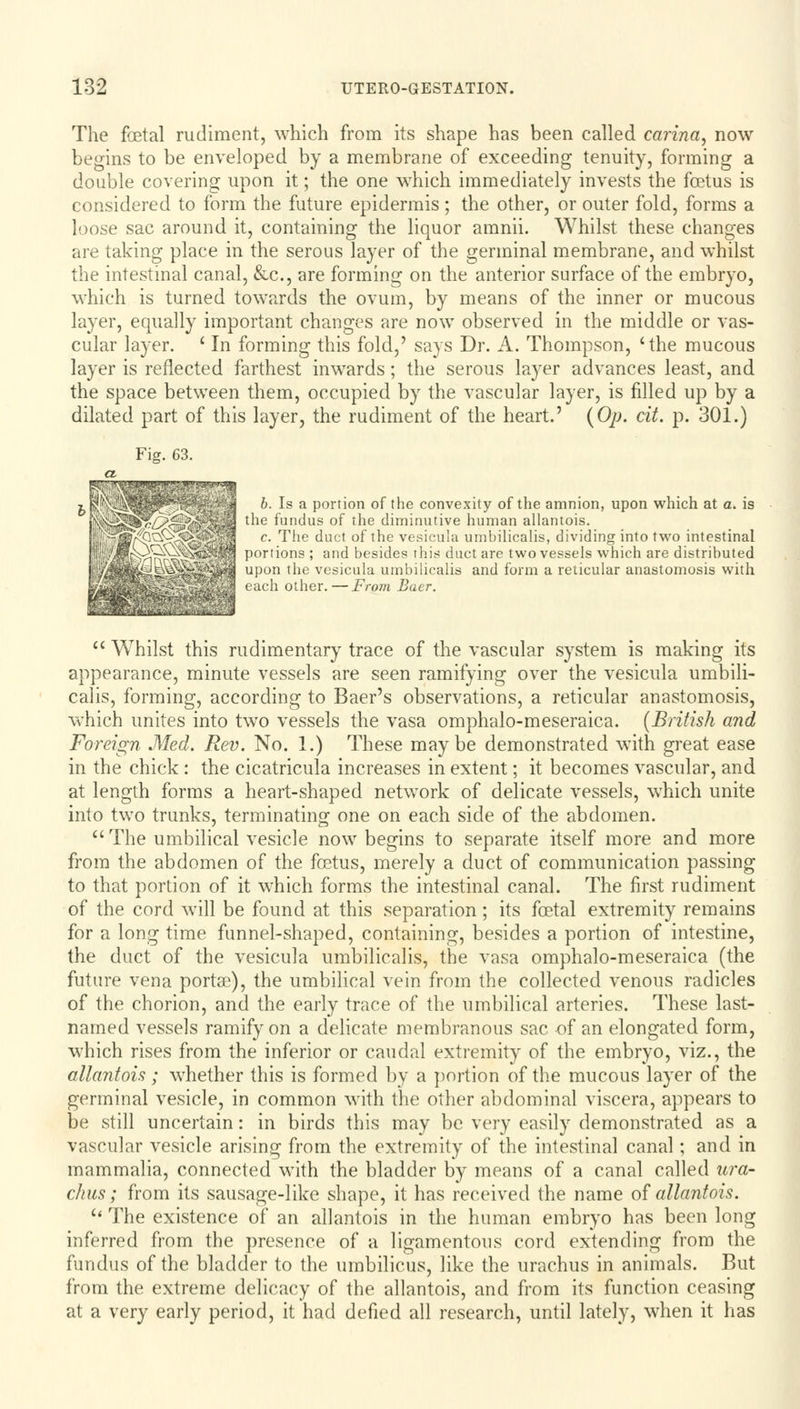 The foetal rudiment, which from its shape has been called carina, now begins to be enveloped by a membrane of exceeding tenuity, forming a double covering upon it; the one which immediately invests the foetus is considered to form the future epidermis; the other, or outer fold, forms a loose sac around it, containing the liquor amnii. Whilst these changes are taking place in the serous layer of the germinal membrane, and whilst the intestinal canal, &c, are forming on the anterior surface of the embryo, which is turned towards the ovum, by means of the inner or mucous layer, equally important changes are now observed in the middle or vas- cular layer. (In forming this fold,' says Dr. A. Thompson, 'the mucous layer is reflected farthest inwards; the serous layer advances least, and the space between them, occupied by the vascular layer, is filled up by a dilated part of this layer, the rudiment of the heart.' (Op. cit. p. 301.) Fig. 63. b. Is a portion of the convexity of the amnion, upon which at a. is the fundus of the diminutive human allantois. c. The duct of the vesicula umbilicalis, dividing into two intestinal portions ; and besides this duct are two vessels which are distributed upon the vesicula umbilicalis and form a reticular anastomosis with each other.—From Baer.  Whilst this rudimentary trace of the vascular system is making its appearance, minute vessels are seen ramifying over the vesicula umbili- calis, forming, according to Baer's observations, a reticular anastomosis, which unites into two vessels the vasa omphalo-meseraica. {British and Foreign Med. Rev. No. 1.) These maybe demonstrated with great ease in the chick : the cicatricula increases in extent; it becomes vascular, and at length forms a heart-shaped network of delicate vessels, which unite into two trunks, terminating one on each side of the abdomen. The umbilical vesicle now begins to separate itself more and more from the abdomen of the foetus, merely a duct of communication passing to that portion of it which forms the intestinal canal. The first rudiment of the cord will be found at this separation; its foetal extremity remains for a long time funnel-shaped, containing, besides a portion of intestine, the duct of the vesicula umbilicalis, the vasa omphalo-meseraica (the future vena portse), the umbilical vein from the collected venous radicles of the chorion, and the early trace of the umbilical arteries. These last- named vessels ramify on a delicate membranous sac of an elongated form, which rises from the inferior or caudal extremity of the embryo, viz., the allantois ; whether this is formed by a portion of the mucous layer of the germinal vesicle, in common with the other abdominal viscera, appears to be still uncertain: in birds this may be very easily demonstrated as a vascular vesicle arising from the extremity of the intestinal canal; and in mammalia, connected with the bladder by means of a canal called ura- cil us; from its sausage-like shape, it has received the name of allantois. u The existence of an allantois in the human embryo has been long inferred from the presence of a ligamentous cord extending from the fundus of the bladder to the umbilicus, like the urachus in animals. But from the extreme delicacy of the allantois, and from its function ceasing at a very early period, it had defied all research, until lately, when it has