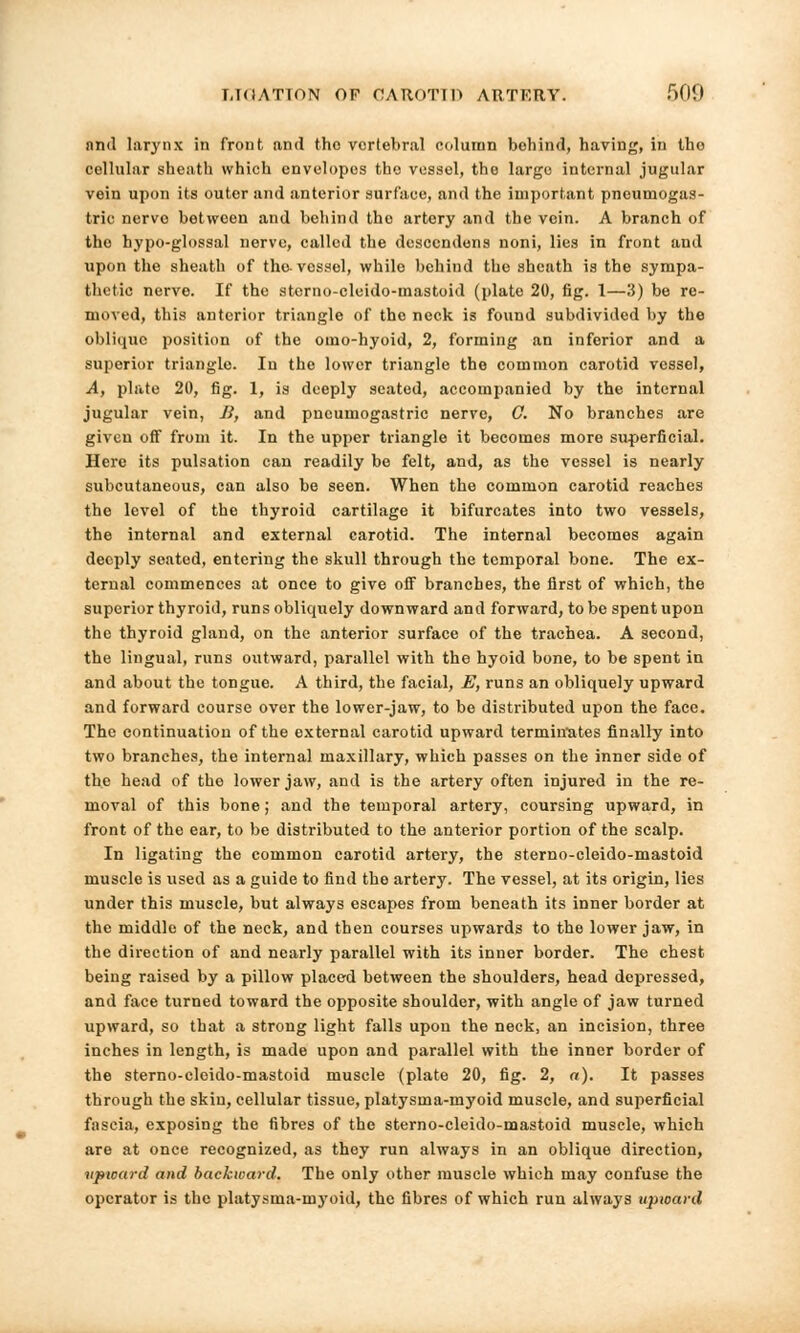 and larynx in front and tho vertebral column behind, having, in the cellular sheath which envelopes the vessel, the large internal jugular vein upon its outer and anterior surface, and the important pneumogas- tric nerve between and behind tho artery and the vein. A branch of tho hypo-glossal nerve, called the descendons noni, lies in front and upon the sheath of the-vessel, while behind the sheath is the sympa- thetic nerve. If the sterno-cleido-mastoid (plate 20, fig. 1—3) be re- moved, this anterior triangle of the neck is found subdivided by the oblique position of the omo-hyoid, 2, forming an inferior and a superior triangle. In the lower triangle the common carotid vessel, A, plate 20, fig. 1, is deeply seated, accompanied by the internal jugular vein, B, and pneumogastric nerve, G. No branches are given off from it. In the upper triangle it becomes more superficial. Here its pulsation can readily be felt, and, as the vessel is nearly subcutaneous, can also be seen. When the common carotid reaches the level of the thyroid cartilage it bifurcates into two vessels, the internal and external carotid. The internal becomes again deeply seated, entering the skull through the temporal bone. The ex- ternal commences at once to give off branches, the first of which, the superior thyroid, runs obliquely downward and forward, to be spent upon the thyroid gland, on the anterior surface of the trachea. A second, the lingual, runs outward, parallel with the hyoid bone, to be spent in and about the tongue. A third, the facial, E, runs an obliquely upward and forward course over the lower-jaw, to be distributed upon the face. The continuation of the external carotid upward terminates finally into two branches, the internal maxillary, which passes on the inner side of the head of the lower jaw, and is the artery often injured in the re- moval of this bone; and the temporal artery, coursing upward, in front of the ear, to be distributed to the anterior portion of the scalp. In ligating the common carotid artery, the sterno-cleido-mastoid muscle is used as a guide to find the artery. The vessel, at its origin, lies under this muscle, but always escapes from beneath its inner border at the middle of the neck, and then courses upwards to the lower jaw, in the direction of and nearly parallel with its inner border. The chest being raised by a pillow placed between the shoulders, head depressed, and face turned toward the opposite shoulder, with angle of jaw turned upward, so that a strong light falls upon the neck, an incision, three inches in length, is made upon and parallel with the inner border of the sterno-cloido-mastoid muscle (plate 20, fig. 2, a). It passes through the skin, cellular tissue, platysma-myoid muscle, and superficial fascia, exposing the fibres of the sterno-cleido-mastoid muscle, which are at once recognized, as they run always in an oblique direction, upward and backward. The only other muscle which may confuse the operator is the platysma-myoid, the fibres of which run always upward