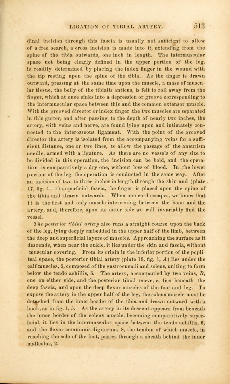dinal incision through tins fascia is usually not sufficient to allow of a free search, a cross incision is made into it, extending from the spine of the tibia outwards, one inch in length. The intermuscular space not being clearly defined in tho upper portion of the leg, is readily determined by placing the index finger in the wound with the tip resting upon the spine of the tibia. As tho finger is drawn outward, pressing at the same time upon the muscle, a mass of muscu- lar tissue, the belly of tho tibialis anticus, is felt to roll away from the finger, which at once sinks into a depression or groove corresponding to the intermuscular space between this and the common extensor muscle. With the grooved director or index finger the two muscles are separated in this gutter, and after passing to the depth of nearly two inches, tho artery, with veins and nerve, are found lying upon and intimately con- nected to the interosseous ligament. With the point of the grooved director the artery is isolated from the accompanying veins for a suffi- cient distance, one or two lines, to allow the passage of the aneurism needle, armed with a ligature. As there are no vessels of any size to be divided in this operation, the incision can be bold, and the opera- tion is comparatively a dry one, without loss of blood. In the lower portion of the leg the operation is conducted in the same way. After an incision of two to three inches in length through the skin and (plate 17, fig. 4—1) superficial fascia, the finger is placed upon the spine of the tibia and drawn outwards. When one cord escapes, we know that it is the first and only muscle intervening between the bone and the artery, and, therefore, upon its outer side we will invariably find the vessel. The posterior tibial artery also runs a straight course upon the back of the leg, lying deeply embedded in the upper half of the limb, between the deep and superficial layers of muscles. Approaching the surface as it descends, when near the ankle, it lies under the skin and fascia, without muscular covering. From its origin in the inferior portion of the popli- teal space, the posterior tibial artery (plate 18, fig. 1, A) lies under the calf muscles, 5, composed of the gastrocnemii and soleus, uniting to form below the tendo achillis, 6. The artery, accompanied by two veins, B, one on either side, and the posterior tibial nerve, c, lies beneath the deep fascia, and upon the deep flexor muscles of the foot and leg. To expose the artery in the upper half of the leg, the soleus muscle must be detached from the inner border of the tibia and drawn outward with a hook, as in fig. 1, 5. As the artery in its descent appears from beneath the inner border of the soleus muscle, becoming comparatively super- ficial, it lies in the intermuscular space between the tendo achillis, 6, and the flexor communis digitorum, 8, the tendon of which muscle, in reaching the sole of the foot, passes through a sheath behind the inner malleolus, 2.