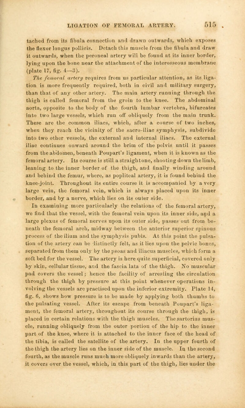 taohed from its fibula connection and drawn outwards, which exposes the flexor longus polliois. Detach this muscle from the fibula and draw it outwards, when the peroneal artery will be found at its inner border, lying upon tho bone near the attachment of the interosseous membrane (plate 17, fig. 4—3). The femoral artery requires from us particular attention, as its liga- tion is more frequently required, both in civil and military surgery, than that of any other artery. The main artery runuing through tho thigh is called femoral from the groin to the knee. The abdominal aorta, opposite to the body of the fourth lumbar vertebra, bifurcates into two large vessels, which run off obliquely from the main trunk. These are the common iliacs, which, after a course of two inches, when thoy reach the vicinity of the sacro-iliae symphysis, subdivide into two other vessels, the external and internal iliacs. The external iliac contiuues onward around tho brim of the pelvis until it passes from the abdomen, beneath Poupart's ligament, when it is known as the femoral artery. Its course is still a straightone, shooting down thelitub, leaning to the inner border of the thigh, and finally winding around and behind the femur, where, as popliteal artery, it is found behind the knee-joint. Throughout its entire course it is accompanied by a very large vein, the femoral vein, which is always placed upon its inner border, and by a nerve, which lies on its outer side. In examining more particularly the relations of the femoral artery, we find that the vessel, with the femoral vein upon its inner side, and a large plexus of femoral nerves upon its outer side, passes out from be- neath the femoral arch, midway between the anterior superior spinous process of the ilium and the symphysis pubis. At this point the pulsa- tion of the artery can be distinctly felt, as it lies upon the pelvic bonus, separated from them only by the psoas and iliacus muscles, which form a soft bed for the vessel. The artery is here quite superficial, covered only by skin, cellular tissue, and the fascia lata of the thigh. No muscular pad covers the vessel; hence the facility of arresting the circulation through the thigh by pressure at this point whenever operations in- volving the vessels are practised upon the inferior extremity. Plate 14, fig. 6, shows how pressure is to be made by applying both thumbs to the pulsating vessel. After its escape from beneath Poupart's liga- ment, the femoral artery, throughout its course through the thigh, is placed in certain relations with the thigh muscles. The sartorius mus- cle, running obliquely from the outer portion of the hip to the inner part of the knee, where it is attached to the inner face of the head of the tibia, is called the satellite of the artery. In the upper fourth of the thigh the artery lies on the inner side of the muscle. In the second fourth, as the muscle runs much more obliquely inwards than the artery, it covers over the vessel, which, in this part of the thigh, lies under the