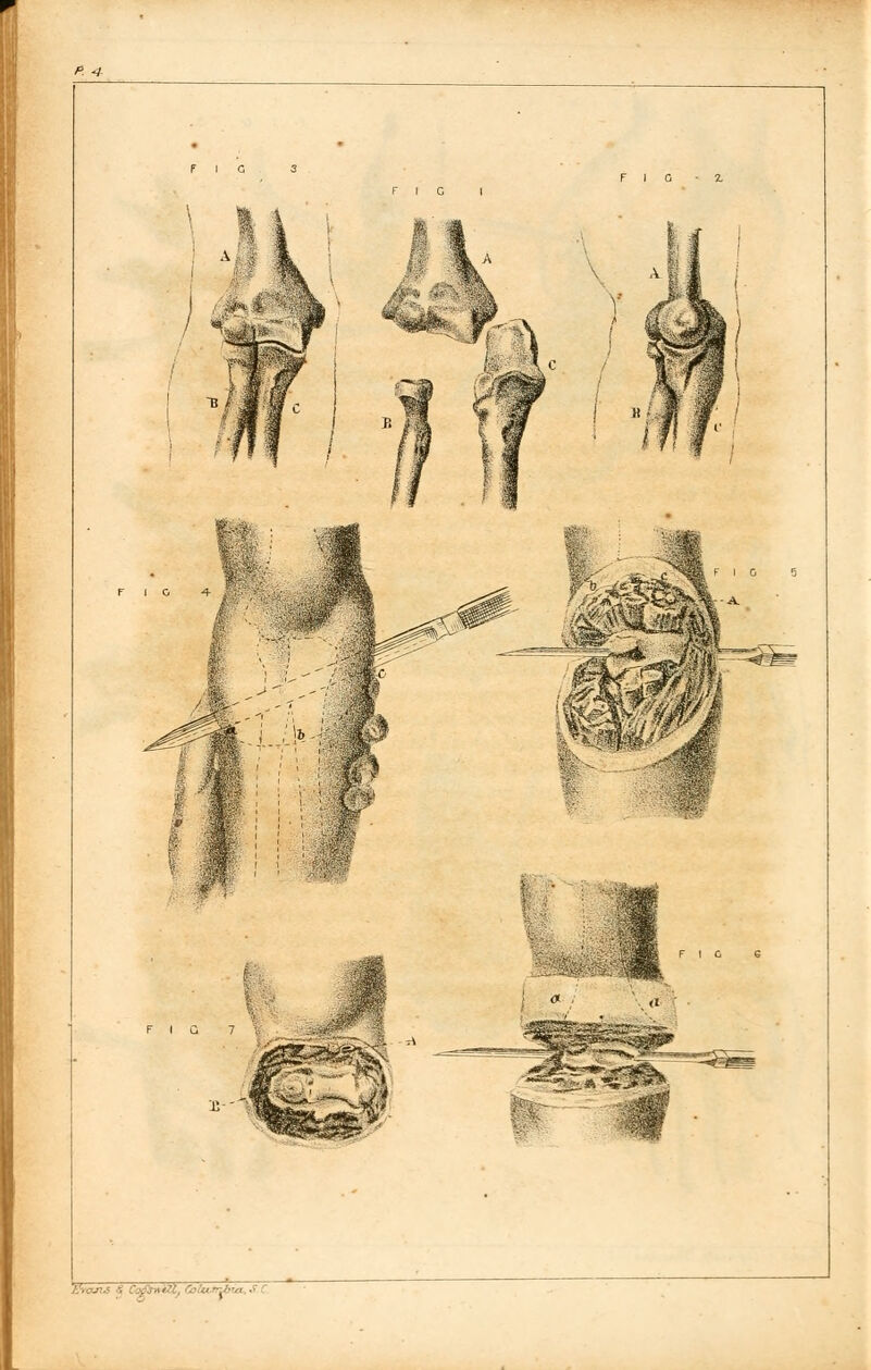 V I 0 '2. FIG I FIG 7 :.'„j#»l«#, CclurrUtrj