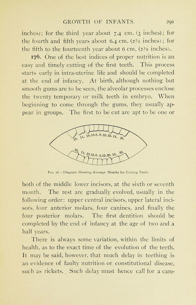 inches); for the third year about 7.4 cm. (3 inches); for the fourth and fifth years about 6.4 cm. (2 5s inches); for the fifth to the fourteenth year about 6 cm. (2? 8 inches). 176. One of the best indices of proper nutrition is an easy and timely cutting of the first teeth. This process starts early in infra-uterine life and should be completed at the end of infancy. At birth, although nothing but smooth gums are to be seen, the alveolar processes enclose the twenty temporary or milk teeth in embryo. When beginning to come through the gums, they usually ap- pear in groups. The first to be cut are apt to be one or Fig. 76.— Diagram Showing Average Months for Cutting Teeth. both of the middle lower incisors, at the sixth or seventh month. The rest are gradually evolved, usually in the following order: upper central incisors, upper lateral inci- sors, four anterior molars, four canines, and finally the four posterior molars. The first dentition should be completed by the end of infancy at the age of two and a half years. There is always some variation, within the limits of health, as to the exact time of the evolution of the teeth. It may be said, however, that much delay in teething is an evidence of faulty nutrition or constitutional disease, such as rickets. Such delay must hence call for a care-