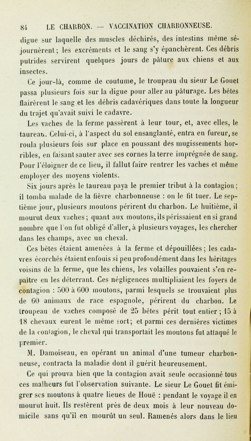 digue sur laquelle des muscles déchirés, des intestins même sé- journèrent; les excréments et le sang s'y épanchèrent. Ces débris putrides servirent quelques jours de pâture aux chiens et aux insectes. Ce jour-là, comme de coutume, le troupeau du sieur Le Gonet passa plusieurs fois sur la digue pour aller au pâturage. Les bêtes flairèrent le sang et les débris cadavériques dans toute la longueur du trajet qu'avait suivi le cadavre. Les vaches de la ferme passèrent à leur tour, et, avec elles, le taureau. Celui-ci, à l'aspect du sol ensanglanté, entra en fureur, se roula plusieurs fois sur place en poussant des mugissements hor- ribles, en faisant sauter avec ses cornes la terre imprégnée de sang. Pour l'éloigner de ce lieu, il fallut faire rentrer les vaches et même employer des moyens violents. Six jours après le taureau paya le premier tribut à la contagion ; il tomba malade de la fièvre charbonneuse : on le fit tuer. Le sep- tième jour, plusieurs moutons périrent du charbon. Le huitième, il mourut deux vaches; quant aux moutons, ils périssaient en si grand nombre que l'on fut obligé d'aller, à plusieurs voyages, les chercher dans les champs, avec un cheval. Ces bètes étaient amenées à la ferme et dépouillées; les cada- vres écorchés étaient enfouis si peu profondément dans les héritages voisins de la ferme, que les chiens, les volailles pouvaient s'en re- paître en les déterrant. Ces négligences multipliaient les foyers de contagion : 500 à (300 moutons, parmi lesquels se trouvaient plus de 00 animaux de race espagnole, périrent du charbon. Le troupeau de vaches composé de 25 bêtes périt tout entier ; 15 à 18 chevaux eurent le même sort; et parmi ces dernières victimes de la contagion, le cheval qui transportait les moutons fut attaqué le premier. M. Damoiseau, en opérant un animal d'une tumeur charbon- neuse, contracta la maladie dont il guérit heureusement. Ce qui prouva bien que la contagion avait seule occasionné tous ces malheurs fut l'observation suivante. Le sieur Le Gouet fit émi- grer ses moutons à quatre lieues de Houe : pendant le voyage il en mourut huit. Ils restèrent près de deux mois à leur nouveau do- micile sans qu'il en mourût un seul. Ramenés alors dans le lieu