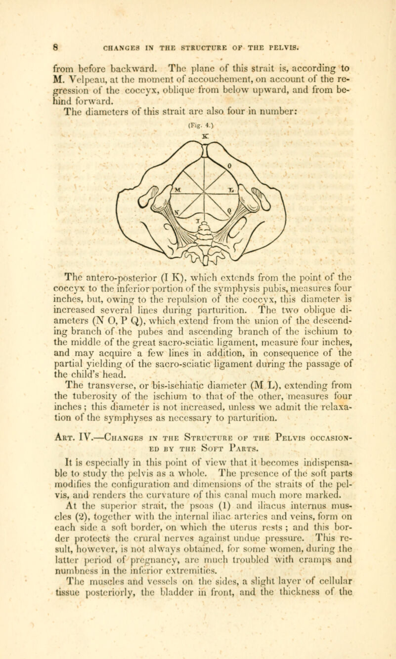 from before backward. The plane of this strait is, according to M. Velpeail, at the moment of accouchement, on account of the re- gression of the coccyx, oblique from below upward, and from be- hind forward. The diameters of this strait are also four in number: The nntero-posterior (I K). which extends from the point of the coccyx to the inferior portion of the symphysis pubis, measures four inches, but, owing to the repulsion of the coccyx, this diameter is increased several lines during parturition. The two oblique di- ameters (N O, P Q), which extend from the union of the descend- ing branch of the pubes and ascending branch of the ischium to the middle of the great sacro-sciatie ligament, measure four inches, and may acquire a few lines in addition, in consequence of the partial yielding of the sacro-sciatic ligament during the passage of the child's head. The transverse, or bis-ischiatic diameter (M L), extending from the tuberosity of the ischium to that of the other, measures four inches ; this diameter is not increased, unless we admit the relaxa- tion of the symphyses as necessary to parturition. Art. IV.—Changes in the Structuri: or the Pelvis occasion- ed by the Soft Parts. It is especially in this point of view that it becomes indispensa- ble to study the pelvis as a whole. The presence of the Bofl parts modifies the configuration and dimensions of the straits of the pel- vis, and renders the curvature of this canal much more marked. At the superior strait, the psoas (1) and iliaeus interims iims- clea ('!). together with the internal iliac arteries and veins, form on each side a soft border, on which the Uterus rests ; and this bor- der protects the crural nerves againsl undue pressure. This re- sult, however, is not always obtained, to]- some women, during the latter period of pregnancy, are much troubled with cramps, and numbness in the inferior extremitu The muscles and vessels on the sides, a slight Layer of cellular tissue posteriorly, the bladder in front, and the thickness of the