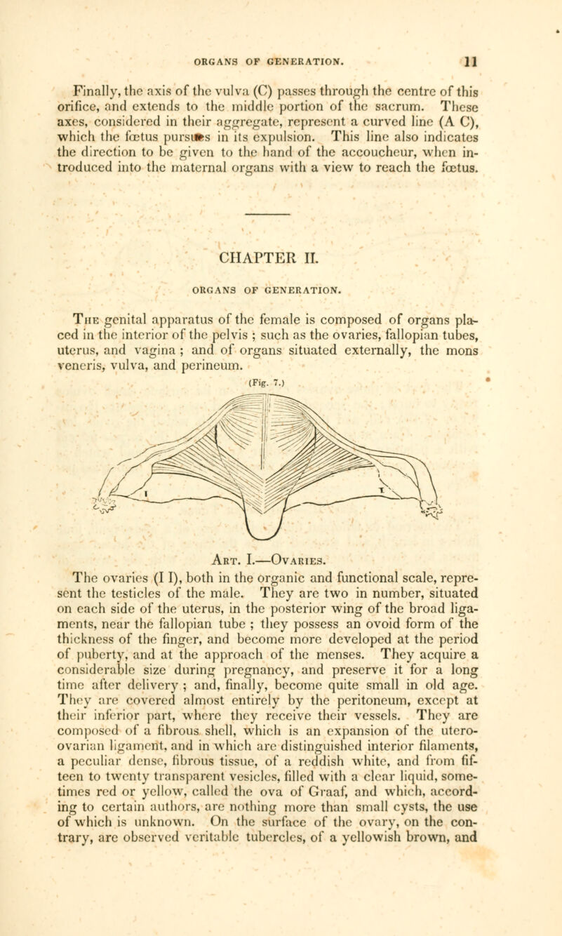 Finally, the axis of the vulva (C) passes through the centre of this orifice, and extends to the middle portion of the sacrum. These axes, considered in their aggregate, represent a curved line (A C), which the fœtus pursues in its expulsion. This line also indicates the direction to be given to the hand of the accoucheur, when in- troduced into the maternal organs with a view to reach the fœtus. CHAPTER II. ORGANS OF GENERATION. The genital apparatus of the female is composed of organs pla- ced in the interior of the pelvis ; such as the ovaries, fallopian tubes, uterus, and vagina ; and of organs situated externally, the mons veneris, vulva, and perineum. (Fig. 7.) Art. I.—Ovaries. The ovaries (I I), both in the organic and functional scale, repre- sent the testicles of the male. They are two in number, situated on each side of the uterus, in the posterior wing of the broad liga- ments, near the fallopian tube ; they possess an ovoid form of the thickness of the finger, and become more developed at the period of puberty, and at the approach of the menses. They acquire a considerable size during pregnancy, and preserve it for a long time after delivery ; and, finally, become quite small in old age. They are covered almost entirely by the peritoneum, except at their inferior part, where they receive their vessels. They are composed of a fibrous shell, which is an expansion of the utero- ovarum ligament, and in which are distinguished interior filaments, a peculiar dense, fibrous tissue, of a reddish white, and from fif- teen to twenty transparent vesicles, filled with a clear liquid, some- times red or yellow, called the ova of Graaf, and which, accord- ing to certain authors, are nothing more than small cysts, the use of which is unknown. On the surface of the ovary, on the con- trary, are observed veritable tubercles, of a yellowish brown, and