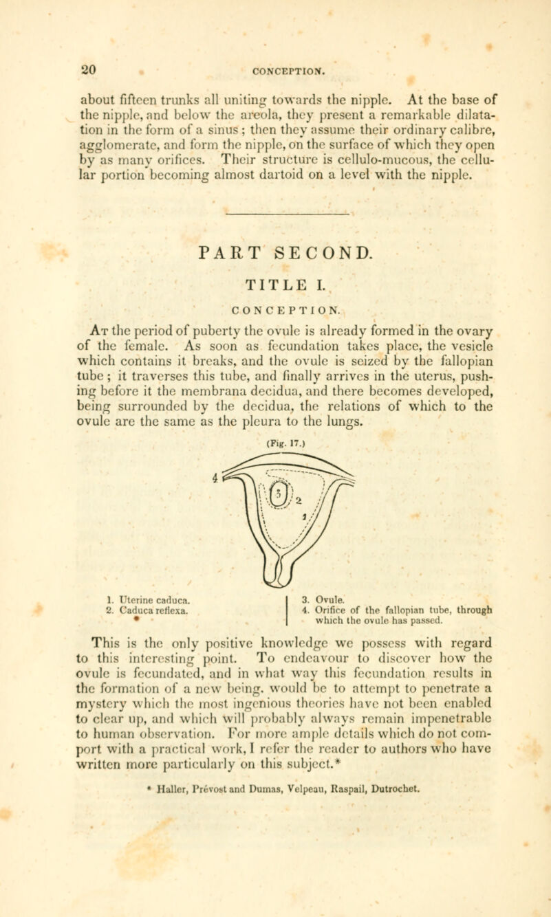 about fifteen trunks all uniting towards the nipple. At the base of the nipple, and below tin; areola, they present a remarkable dilata- tion in the form of a sinus ; then they assume their ordinary calibre, agglomerate, and form the nipple, on the surface of which they open by as many orifices. Their structure is cellulo-mucous, the cellu- lar portion becoming almost dartoid on a level with the nipple. PART SECOND. TITLE I. CONCEPTION. At the period of puberty the ovule is already formed in the ovary of the female. As soon as fecundation takes place, the vesicle which contains it breaks, and the ovule is seized by the fallopian tube ; it traverses this tube, and finally arrives in the uterus, push- ing before it the membrana decidua, and there becomes developed, being surrounded by the decidua, the relations of which to the ovule are the same as the pleura to the lungs. (Fig. 17.) 1. Uterine caduca. 3. Ovule. 2. Caduca reflexa. 4. Orifice of the fallopian tube, through which the ovule has passe il. This is the only positive knowledge we possess with regard to this interesting point. To endeavour to discover how the ovule is fecundated, and in what way this fecundation results in the formation of a new being, would he to attempt to penetrate a mystery which the most ingenious theories have not been enabled to clear up, and which will probably always remain impenetrable to human observation. For more ample details which do not com- port with a practical work, I refer the reader to authors who have written more particularly on this subject.* * Ha-ller, Provost and Dumas, Velpeau, Raspail, Dutrochct.