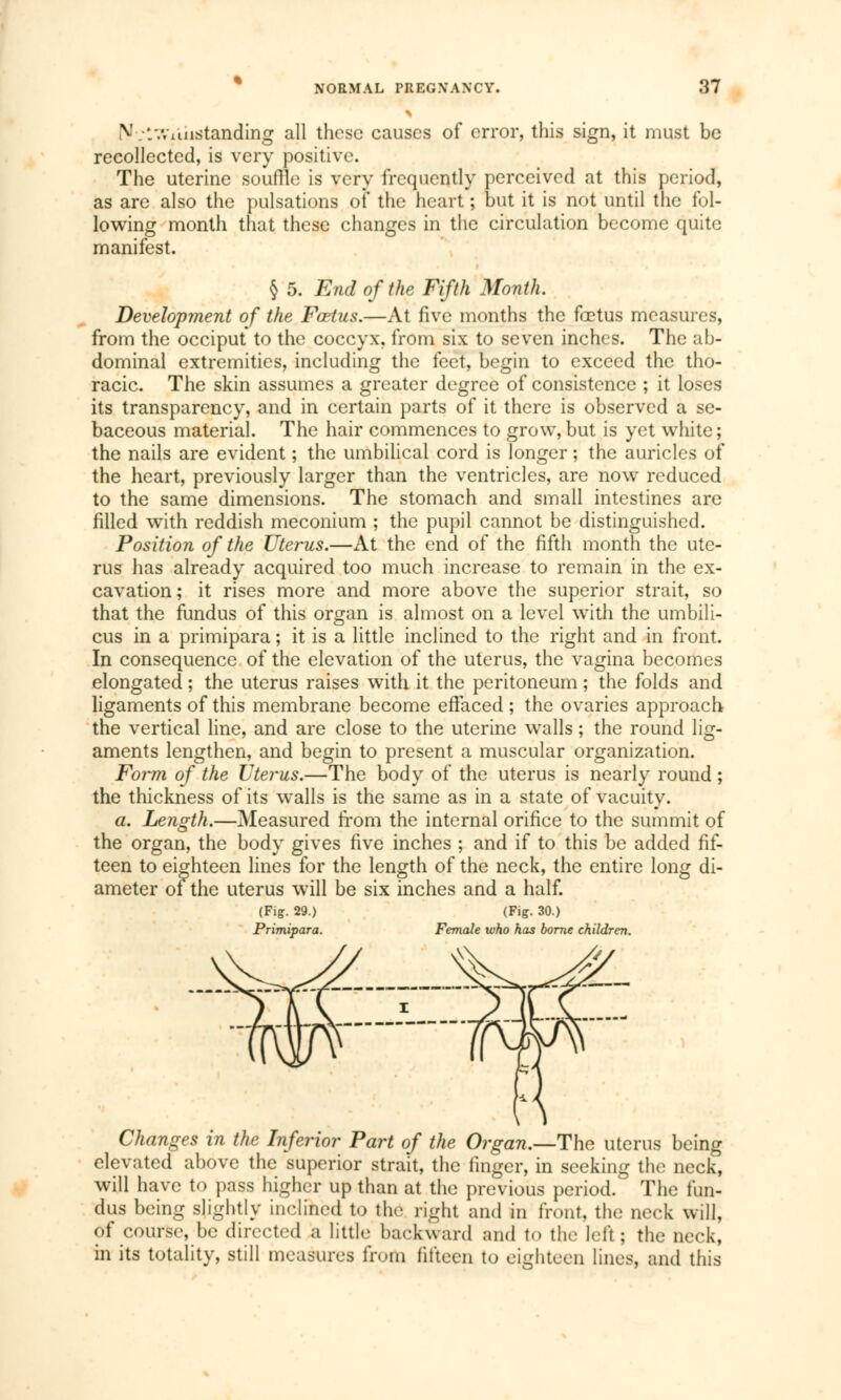 N.l-.Viinstanding all these causes of error, this sign, it must be recollected, is very positive. The uterine souffle is very frequently perceived at this period, as are also the pulsations of the heart ; but it is not until the fol- lowing month that these changes in the circulation become quite manifest. § 5. End of the Fifth Month. Development of the Fœtus.—At five months the fœtus measures, from the occiput to the coccyx, from six to seven inches. The ab- dominal extremities, including the feet, begin to exceed the tho- racic. The skin assumes a greater degree of consistence ; it loses its transparency, and in certain parts of it there is observed a se- baceous material. The hair commences to grow,but is yet white; the nails are evident ; the umbilical cord is longer ; the auricles of the heart, previously larger than the ventricles, are now reduced to the same dimensions. The stomach and small intestines are filled with reddish meconium ; the pupil cannot be distinguished. Position of the Uterus.—At the end of the fifth month the ute- rus has already acquired too much increase to remain in the ex- cavation ; it rises more and more above the superior strait, so that the fundus of this organ is almost on a level with the umbili- cus in a primipara ; it is a little inclined to the right and in front. In consequence of the elevation of the uterus, the vagina becomes elongated ; the uterus raises with it the peritoneum ; the folds and ligaments of this membrane become effaced ; the ovaries approach the vertical line, and are close to the uterine walls ; the round lig- aments lengthen, and begin to present a muscular organization. Form of the Uterus.—The body of the uterus is nearly round ; the thickness of its walls is the same as in a state of vacuity. a. Length.—Measured from the internal orifice to the summit of the organ, the body gives five inches ; and if to this be added fif- teen to eighteen lines for the length of the neck, the entire long di- ameter of the uterus will be six inches and a half. (Fig. 29.) (Fig. 30.) Primipara. Female who has borne children. Changes in the Inferior Part of the Organ.—The uterus being elevated above the superior strait, the finger, in seeking the neck, will have to pass higher up than at the previous period. The fun- dus being slightly inclined to the right and in front, the neck will, of course, be directed a little backward and to the left ; the neck, in its totality, still measures from fifteen to eighteen lines, and this