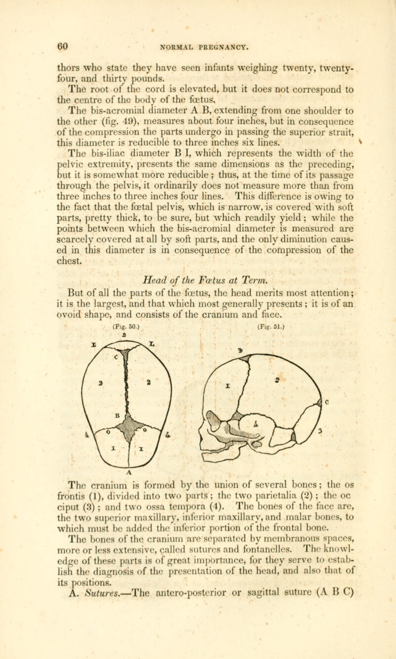 thors who state they have seen infants weighing twenty, twenty- four, and thirty pounds. The root of the cord is elevated, but it does not correspond to the centre of the body of the fœtus. The bis-acromial diameter A B, extending from one shoulder to the other (fig, 49), measures about four inches, but in consequence of the compression the parts undergo in passing the superior strait, this diameter is reducible to three inches six lines. The bis-iliac diameter B I, which represents the width of the pelvic extremity, presents the same dimensions as the preceding, but it is somewhat more reducible ; thus, at the time of its passage through the pelvis, it ordinarily does not measure more than from three inches to three inches four lines. This difference is owing to the fact that the fœtal pelvis, which is narrow, is covered with soft parts, pretty thick, to be sure, but wrhich readily yield ; while the points between which the bis-acromial diameter is measured are scarcely covered at all by soft parts, and the only diminution caus- ed in this diameter is in consequence of the compression of the chest. Head of the Fœtus at Term. But of all the parts of the fœtus, the head merits most attention ; it is the largest, and that which most generally presents ; it is of an ovoid shape, and consists of the cranium and face. (Fig. 51.) The cranium is formed by the union of several bones : the os frontis (1), divided into two parts ; the two pàrietalia (2) ; the oc ciput (3) ; and two ossa temporel (1). The bones of the lace arc the two superior maxillary, interior maxillary, and malar bones, to which must be added the interior portion of the frontal bone. The bones of the cranium are separated by membranous spaces, more or less extensive, called sutures and fontanelles. The knowl- edge of these parts is of great importance* for they serve to estab- lish the diagnosis of the presentation of the head, and also that of its positions. A. Sutures.—The antero-postcrior or sagittal suture (A B C)