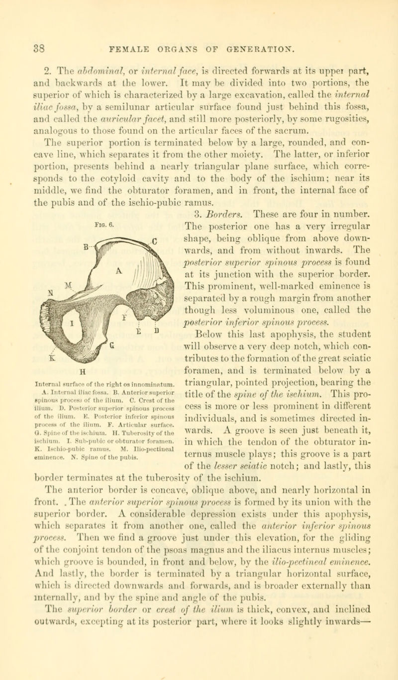 Fio. 6. 2. The abdominal, or internal face, is directed forwards at its upper part, and backwards at (lie lower. Tt may be divided into two portions, the superior of which is characterized by a large excavation, called the internal fossa, by a semilunar articular surface found just behind this fossa, and called the auricular facet, and still more posteriorly, by some rugosities, analogous to those found on the articular faces of the sacrum. The superior portion is terminated below by a large, rounded, and con- cave line, which separates it from the other moiety. The latter, or inferior portion, presents behind a nearly triangular plane surface, which corre- spond.- to the cotyloid cavity and to the body of the ischium; near its middle, we find the obturator foramen, and in front, the internal face of the pubis and of the ischio-pubic ramus. 3. Borders. These are four in number. The posterior one has a very irregular shape, being oblique from above down- wards, and from without inwards. The posterior superior spinous process is found at its junction with the superior border. This prominent, well-marked eminence is separated by a rough margin from another though less voluminous one, called the posterior inferior spinous j>rocess. Below this last apophysis, the student will observe a very deep notch, which con- tributes to the formation of the -Teat sciatic foramen, and is terminated below by a triangular, pointed projection, bearing the title of the spine of the ischium. This pro- cess is more or less prominent in different individuals, and is sometimes directed in- wards. A groove is seen just beneath it, in which the tendon of the obturator in- ternum muscle plays; this groove is a part of the lesser sciatic notch ; and lastly, this border terminates at the tuberosity of the ischium. The anterior border is concave, oblique above, and nearly horizontal in front. . The anterior superior spinous process is formed by its union with the superior border. A considerable depression exists under this apophysis, which separates it from another one, called the anterior inferior spinous process. Then we find a groove just under this elevation, for the gliding of the conjoint tendon of the psoas magnus and the iliacUS interims muscles; which groove is bounded, in front and below, by the ilio-pectineal eminence. And lastly, the border is terminated by a triangular horizontal surface, which Lfl directed downwards and forwards, and is broader external ly than internally, and by the spine and angle of the pubis. The superior border or crest of the ilium is thick, convex, and inclined outwards, excepting at it- posterior part, where it looks slightly inwards— Internal surface of iho right oa Innominatnm. A. Interna] Uiac fossa. B. Anterior supi rior spinous procesu of the Ilium. C. Creel of the Ilium, D. Poet« rior Buperior spinous | of the ilium. K. Posterior Inferior Bpinous - of the ilium. F. Articular Burface. u. Spi f tl..- isi hium. II. Tuberosity of the Ischium. I. Sub-pubic or obturator foramen. K. Lscbio-pubic ramus. M. Qio-pectineaJ N. Spine of the pubis.