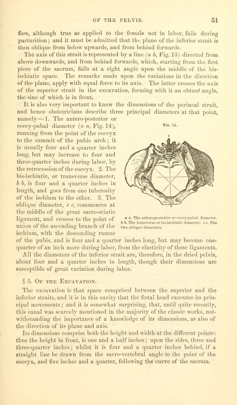 Fig. 14. fore, although true as applied to the female not in labor, fails during parturition; and it must be admitted that th«j plane of the inferior strait is then oblique from below upwards, and from behind forwards. The axis of this strait is represented by a line (a b, Fig. 13) directed from above downwards, and from behind forwards, which, starting from the first piece of the sacrum, falls at a right angle upon the middle of the bis- ischiatic space. The remarks made upon the variations in the direction of the plane, apply with equal force to its axis. The latter crosses the axis of the superior strait in the excavation, forming with it an obtuse* angle, the sine of which is in front. It is also very important to know the dimensions of the perineal strait, and hence obstetricians describe three principal diameters at that point, namely—1. The antero-posterior or coccy-pubal diameter (a a, Fig. 14), running from the point of the coccyx to the summit of the pubic arch; it is usually four and a quarter inches long, but may increase to four and three-quarter inches during labor, by the retrocession of the coccyx. 2. The bis-ischiatic, or transverse diameter, b b, is four and a quarter inches in length, and goes from one tuberosity of the ischium to the other. 3. The oblique diameter, c c, commences at the middle of the great sacro-sciatic ligament, and crosses to the point of union of the ascending branch of the ischium, with the descending ramus of the pubis, and is four and a quarter inches long, but may become one- quarter of an inch more during labor, from the elasticity of these ligaments. All the diameters of the inferior strait are, therefore, in the dried pelvis, about four and a quarter inches in length, though their dimensions are susceptible of great variation during labor. § 5. Of the Excavation. The excavation is that space comprised between the superior and the inferior straits, and it is in this cavity that the foetal head executes its prin- cipal movements; and it is somewhat surprising, that, until quite recently, this canal was scarcely mentioned in the majority of the classic works, not- withstanding the importance of a knowledge of its dimensions, as also of the direction of its plane and axis. Its dimensions comprise both the height and width at the different points: thus the height in front, is one and a half inches; upon the sides, three and three-quarter inches; whilst it is four and a quarter inches behind, if a straight line be drawn from the sacro-vertebral angle to the point of the coccyx, and five inches and a quarter, following the curve of the sacrum. a a. The antero-posterior or coccy-pubal diameter. b b. The transverse or bis-ischiatic diameter, c c. The two oblique diameters.