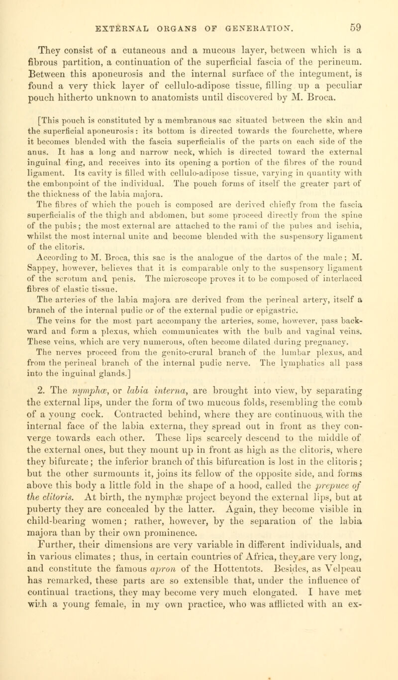 They consist of a cutaneous and a mucous layer, between which is a fibrous partition, a continuation of the superficial fascia of the perineum. Between this aponeurosis and the internal surface of the integument, is found a very thick layer of cellulo-adipose tissue, filling up a peculiar pouch hitherto unknown to anatomists until discovered by M. Broca. [This pouch is constituted by a membranous sac situated between the skin and the superficial aponeurosis: its bottom is directed towards the fourchette, where it becomes blended with the fascia superficialis of the parts on each side of the anus. It has a long and narrow neck, which is directed toward the external inguinal 4'ing, and receives into its opening a portion of the fibres of the round ligament. Its cavity is filled with cellulo-adipose tissue, varying in quantity with the embonpoint of the individual. The pouch forms of itself the greater part of the thickness of the labia majora. The fibres of which the pouch is composed are derived chiefly from the fascia superficialis of the thigh and abdomen, but some proceed directly from the spine of the pubis; the most external are attached to the rami of the pubes and ischia, whilst the most internal unite and become blended with the suspensory ligament of the clitoris. According to M. Broca, this sac is the analogue of the dartos of the male ; M. Sappey, however, believes that it is comparable only to the suspensory ligament of the scrotum and penis. The microscope proves it to be composed of interlaced fibres of elastic tissue. The arteries of the labia majora are derived from the perineal artery, itself a branch of the internal pudic or of the external pudic or epigastric. The veins for the most part accompany the arteries, some, however, pass back- ward and form a plexus, which communicates with the bulb and vaginal veins. These veins, which are very numerous, often become dilated during pregnancy. The nerves proceed from the genito-crural branch of the lumbar plexus, and from the perineal branch of the internal pudic nerve. The lymphatics all pass into the inguinal glands.] 2. The nymphce, or labia interna, are broug'ht into view, by separating the external lips, under the form of twTo mucous folds, resembling the comb of a young cock. Contracted behind, where they are continuous, with the internal face of the labia externa, they spread out in front as they con- verge towards each other. These lips scarcely descend to the middle of the external ones, but they mount up in front as high as the clitoris, where they bifurcate; the inferior branch of this bifurcation is lost in the clitoris; but the other surmounts it, joins its fellow of the opposite side, and forms above this body a little fold in the shape of a hood, called the prepuce of the clitoris. At birth, the nymphse project beyond the external lips, but at puberty they are concealed by the latter. Again, they become visible in child-bearing women; rather, however, by the separation of the labia majora than by their own prominence. Further, their dimensions are very variable in different individuals, and in various climates ; thus, in certain countries of Africa, they,are very long, and constitute the famous apron of the Hottentots. Besides, as Velpeau has remarked, these parts are so extensible that, under the influence of continual tractions, they may become very much elongated. I have met wi'.h a young female, in my own practice, who was afflicted with an ex-