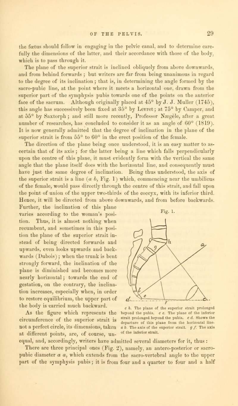 the foetus should follow in engaging in the pelvic canal, and to determine care- fully the dimensions of the latter, and their accordance with those of the body, which is to pass through it. The plane of the superior strait is inclined obliquely from above downwards, and from behind forwards j but writers are far from being unanimous in regard to the degree of its inclination; that is, in determining the angle formed by the sacro-pubic line, at the point where it meets a horizontal one, drawn from the superior part of the symphysis pubis towards one of the points on the anterior face of the sacrum. Although originally placed at 45° by J. J. Muller (1745), this angle has successively been fixed at 35° by Levret; at 75° by Camper, and at 55° by Saxtorph ; and still more recently, Professor Naegele, after a great number of researches, has concluded to consider it as an angle of 60° (1819). It is now generally admitted that the degree of inclination in the plane of the superior strait is from 55° to 60° in the erect position of the female. The direction of the plane being once understood, it is an easy matter to as- certain that of its axis ; for the latter being a line which falls perpendicularly upon the centre of this plane, it must evidently form with the vertical the same angle that the plane itself does with the horizontal line, and consequently must have just the same degree of inclination. Being thus understood, the axis of the superior strait is a line (a b, Fig. 1) which, commencing near the umbilicus of the female, would pass directly through the centre of this strait, and fall upon the point of union of the upper two-thirds of the coccyx, with its inferior third. Hence, it will be directed from above downwards, and from before backwards. Further, the inclination of this plane varies according to the woman's posi- tion. Thus, it is almost nothing when recumbent, and sometimes in this posi- tion the plane of the superior strait in- stead of being directed forwards and upwards, even looks upwards and back- wards (Dubois) ; when the trunk is bent strongly forward, the inclination of the plane is diminished and becomes more nearly horizontal; towards the end of gestation, on the contrary, the inclina- tion increases, especially when, in order to restore equilibrium, the upper part of the body is carried much backward. As the figure which represents the circumference of the superior strait is not a perfect circle, its dimensions, taken at different points, are, of course, un- equal, and, accordingly, writers have admitted several diameters for it, thus : There are three principal ones (Fig. 2), namely, an antero-posterior or sacro- pubic diameter a a, which extends from the sacro-vertebral angle to the upper part of the symphysis pubis; it is from four and a quarter to four and a half Fig. 1. GV- c h. The plane of the superior strait prolonged heyond the pubis, c e. The plane of the inferior strait prolonged beyond the pubis, c d. Shows the departure of this plane from the horizontal line. a b. The axis of the superior strait, g /. The axis of the inferior strait.