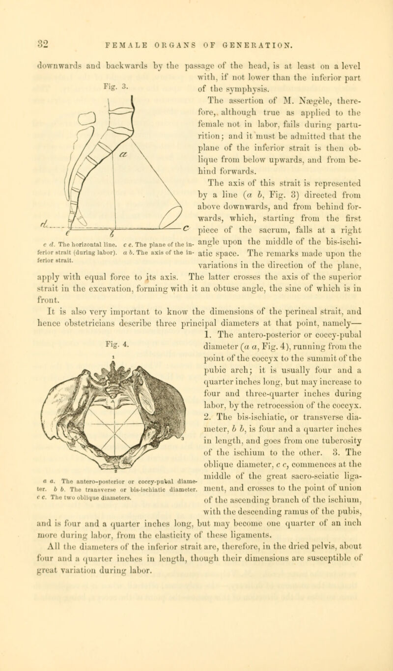 downwards and backwards Pig. 3. *L__ C d. The horizontal line, c e. The plane of the in ferior strait (during labor), a b. The axis of the in ferior strait. by the passage of the head, is at least on a level with, if not lower than the inferior part of the symphysis. The assertion of M. NaBgele, there- fore, although true as applied to the female not in Labor, lails during partu- rition; and it must be admitted that the plane of the inferior strait is then ob- li<|iie from below upwards, and from be- hind forwards. The axis df this strait is represented by a line (a b, Fig. 3) directed from above downwards, and from behind for- wards, which, starting from the first piece of the sacrum, falls at a right angle upon the middle of the bis-ischi- atic space. The remarks made upon the variations in the direction of the plane, apply with equal force to its axis. The latter crosses the axis of the superior Strait in the excavation, forming with it an obtuse angle, the sine of which is in front. It is also very important to know the dimensions of the perineal strait, and hence obstetricians describe three principal diameters at that point, namely— 1. The antero-posterior or coccy-pubal Fl=- 4- diameter (a a, Fig. 4), running from the point of the coccyx to the summit of the pubic arch; it is usually four and a quarter inches long, but may increase to four and three-quarter inches dining labor, by the retrocession of the coccj x. 2. The bis-ischiatic, or transverse dia- meter. I) l>. is four and a quarter inches in length, and goes from one tuberosity of the ischium to the other. 3. The oblique diameter, c r, commences at the middle of the great saoro-sciatio liga- ment, and crosses to the point of union of the ascending branch of the ischium. w ith the descending ramus of the pubis, and is four and a quarter inches long, but may become one quarter of an inch more during labor, from the elasticity of these ligaments. All I be diameters of the inferior strait are, therefore, in the dried pelvis, about four and a quarter inches in length, though their dimensions are susceptible of great variation during labor. a a. Thr anterO-pOflteriOI <>r cocr-y-I>iiLal (liaine- t'-r. b b. The transverse or his-ischiatic diameter.