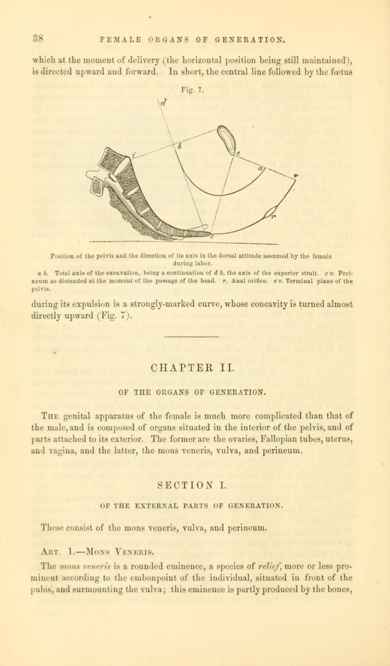 which at the moment of delivery (the horizontal position being still maintained), is directed upward and forward. In short, the central line followed by the foetus Fig- 7. d r\>.-ition of the pelvis and the direction of its axis in the dorsal attitude assumed hy the female during labor. a b. Total axis of the excavation, being a continuation of d b, the axis of the superior strait, c v. Peri- neum as distended at the moment of the passage of the head. r. Anal orifice, e p. Terminal plane of the pelvis. during its expulsion is a strongly-marked curve, whose concavity is turned almost directly upward (Fig. 7). CHAPTER II. OF THE ORGANS OF GENERATION. The genital apparatus of the female is much more complicated than that of the male, and is composed of organs situated in the interior of the pelvis, and of parts attached to its exterior. The former are the ovaries, Fallopian tubes, uterus, and vagina, and the latter, the nioiis veneris, vulva, and perineum. SECTION I. OF THE EXTERNAL PARTS OF GENERATION. These <-ii.-i.-t of the mona veneris, vulva, and perineum. Ai:t. 1.—Mons Veneris. The mont veneris is a rounded eminence, a species of reliefs more or less pro- minent according t<» the embonpoinl of the individual, situated in front of the pubis, and surmounting the vulva ; this eminence is partly produced by the bones.