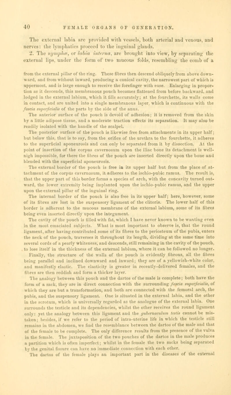 The external labia are provided with vessels, both arterial and venous, and nerves: the lymphatics proceed to the inguinal glands. 2. The nymphoU) or labia interna^ arc bronght into view, by separating the external lips, under the form of two mucous folds, resembling the comb of a from the externa] pillar of the ring. These fibres then descend obliquely from above down- ward, and from without inward, producing a conical cavity, the narrowest part of which is uppermost, and is large enough to receive the forefinger with ease. Enlarging in propor- tion as it descends, this membranous pouch becomes flattened from before backward, and lodged in the external labium, which it fills accurately; at the fourehette, its walls come in contact, and are united into a single membranous layer, which is continuous with the ftuda mperficialis of the parts by the side of the anus. The anterior surface of the pouch is devoid of adhesion; it is removed from the skin by a little adipose tissue, and a moderate traction effects its separation. It may also be readily isolated with the handle of the scalpel. The posterior surface of the pouch is likewise free from attachments in its upper half: but below this, that is to say, from the orifice of the urethra to the fourehette, it adheres to the superficial aponeurosis and can only be separated from it by dissection. At the point of insertion of the corpus cavernosum upon the iliac bone its detachment is well- nigh impossible, for there the fibres of the pouch are inserted directly upon the bone and blended with the superficial aponeurosis. The external border of the pouch is free in its upper half but from the place of at- tachment of the corpus cavernosum, it adheres to the ischio-pubic ramus. The result is. that the upper part of this border forms a species of arch, with the concavity turned out- ward, the lower extremity being implanted upon the ischio-pubic ramus, and the upper upon the external pillar of the inguinal ring. The internal border of the pouch is also free in its upper half; here, however, some of its fibres are lost in the suspensory ligament of the clitoris. The lower half of this border is adherent to the mucous membrane of the external labium, some of its fibres being even inserted directly upon the integument. The cavity of the pouch is tilled with fat, which I have never known to be wanting even in the most emaciated subjects. What is most important to observe is, that the round Ligament, after having contributed some of its fibres to the periosteum of the pubis, enters the neck of the pouch, traverses it throughout its length, dividing at the same time into il cords of a pearly whiteness, and descends, still remaining in the cavity of the pouch. . to lose itself in the thickness of the external labium, where it can be followed no longer. finally, the Structure of the walls of the pouch is evidently fibrous, all the fibres being parallel and inclined downward ami inward; they are of a yellowish-white color, and manifestly elastic. The elasticity is greater in recently-delivered females, and the fibri 9 are then reddish and form a thicker layer. '1 he analogy between this poucb and the dartos of the male is complete; both have the form of a sack, they are in direct connection with the surrounding Uikc'ki BVpgrficialia, of Which they are hut a transformation, and both are connected with the femoral arch, the pubis, and the Buspensory ligament. One is situated in the external labia, and the other in the Bcrotum, which is universally regarded as the analogue of the external labia. One BUITOUnds the testicle and its dependencies, whilst the other receives the round ligament only: \et the analogy between this ligament and the gvbernaeulum ttttit cannot be mis- taken; besides, if we refer to the period of intra-uterine life in which the testicle still remains in the abdomen, we find the resemblance between the dartos of the male and that ol the female to be complete. The only difference results from the presence of the vulva in the fi male. The juxtaposition of the two pouches of the dartos in the male produces a partition which is often imperfect; whilst in the female the two sacks being separated I . the genital fie ure can have no immediate connection with each other. The dartos of the female plays an important part in the diseases of the external