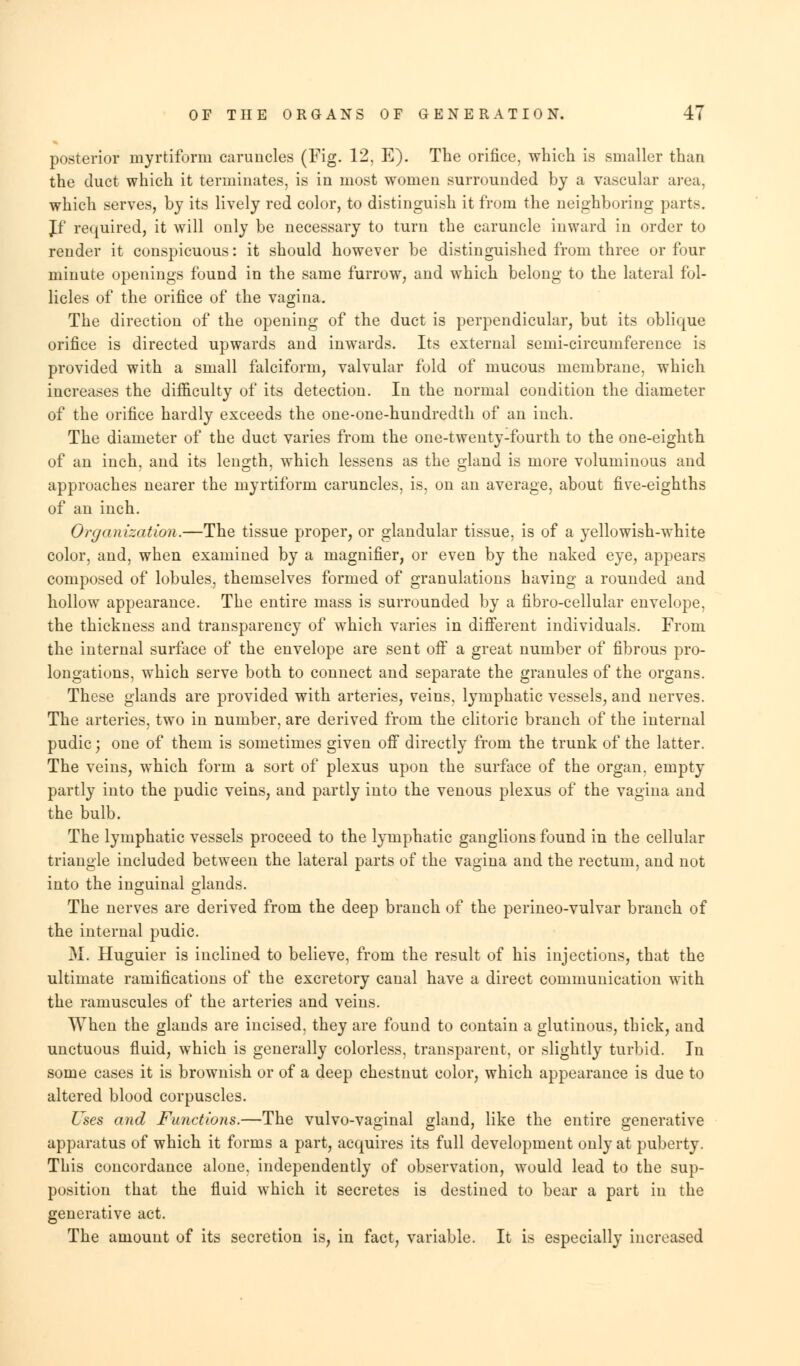 posterior myrtiforni caruncles (Fig. 12, E). The orifice, which is smaller than the duct which it terminates, is in most women surrounded by a vascular area, which serves, by its lively red color, to distinguish it from the neighboring parts. Jf required, it will only be necessary to turn the caruncle inward in order to render it conspicuous: it should however be distinguished from three or four minute openings found in the same furrow, and which belong to the lateral fol- licles of the orifice of the vagina. The direction of the opening of the duct is perpendicular, but its oblique orifice is directed upwards and inwards. Its external semi-circumference is provided with a small falciform, valvular fold of mucous membrane, which increases the difficulty of its detection. In the normal condition the diameter of the orifice hardly exceeds the one-one-hundredth of an inch. The diameter of the duct varies from the one-twenty-fourth to the one-eighth of an inch, and its length, which lessens as the gland is more voluminous and approaches nearer the myrtiform caruncles, is, on an average, about five-eighths of an inch. Organization.—The tissue proper, or glandular tissue, is of a yellowish-white color, and, when examined by a magnifier, or even by the naked eye, appears composed of lobules, themselves formed of granulations having a rounded and hollow appearance. The entire mass is surrounded by a fibro-cellular envelope, the thickness and transparency of which varies in different individuals. From the internal surface of the envelope are sent off a great number of fibrous pro- longations, which serve both to connect and separate the granules of the organs. These glands are provided with arteries, veins, lymphatic vessels, and nerves. The arteries, two in number, are derived from the clitoric branch of the internal pudic j one of them is sometimes given off directly from the trunk of the latter. The veins, which form a sort of plexus upon the surface of the organ, empty partly into the pudic veins, and partly into the venous plexus of the vagina and the bulb. The lymphatic vessels proceed to the lymphatic ganglions found in the cellular triangle included between the lateral parts of the vagina and the rectum, and not into the inguinal glands. The nerves are derived from the deep branch of the perineo-vulvar branch of the internal pudic. M. Huguier is inclined to believe, from the result of his injections, that the ultimate ramifications of the excretory canal have a direct communication with the ramuscules of the arteries and veins. When the glands are incised, they are found to contain a glutinous, thick, and unctuous fluid, which is generally colorless, transparent, or slightly turbid. In some cases it is brownish or of a deep chestnut color, which appearance is due to altered blood corpuscles. Uses and Functions.—The vulvo-vaginal gland, like the entire generative apparatus of which it forms a part, acquires its full development only at puberty. This concordance alone, independently of observation, would lead to the sup- position that the fluid which it secretes is destined to bear a part in the generative act. The amount of its secretion is, in fact, variable. It is especially increased