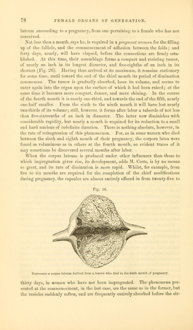 luteuin succeeding to B pregnancy, from one pertaining to a female who lias not conceived. Not less than a month, says he, is required in A pregnant woman for the filling up of the follicle, and the commencement of adhesion between the folds; and forty days, nearly, will have elapsed, before the connections are firmly esta- blished. At this time, their assemblage forms a compact and resisting tumor, of nearly an inch in its longest diameter, and five-eighths of an inch in its shortest (Fig. 26). Having thus arrived at its maximum, it remains stationary for some time, until toward the end of the third month its period of diminution commences. The tumor is gradually absorbed, loses its volume, and seems to enter again into the organ upon the surface of which it had been raised; at the same time it becomes more compact, denser, and more shining. In the course of the fourth month it is nearly one-third, and towards the end of the fifth, nearly one-half smaller. From the sixth to the ninth month it will have lost nearly two-thirds of its volume; still, however, it forms after labor a tubercle of not less than five-sixteenths of an inch in diameter. The latter now diminishes with considerable rapidity, but nearly a month is required for its reduction to a small and hard nucleus of indefinite duration. There is nothing absolute, howTever, in the rate of retrogression of this phenomenon. For, as in some women who died between the sixth and eighth month of their pregnancy, the corpora lutea were found as voluminous as in others at the fourth month, so evident traces of it may sometimes be discovered several months after labor. When the corpus luteum is produced under other influences than those to which impregnation gives rise, its development, adds M. Coste, is by no means so great, and its rate of diminution is more rapid. Whilst, for example, from five to six months are required for the completion of the chief modifications during pregnancy, the capsules are almost entirely effaced in from twenty-five to Fijr. 26. Ltfl a c<>ri>U(- lutouin derlYOd from a female who died in the sixth month of pregnancy. thirty days, in women who have not been impregnated. The phenomena pre- sented al the commencement, in the Last case, are the Bame as in the former,but the vesicles suddenly soften, and are frequently entirely absorbed before the cir-