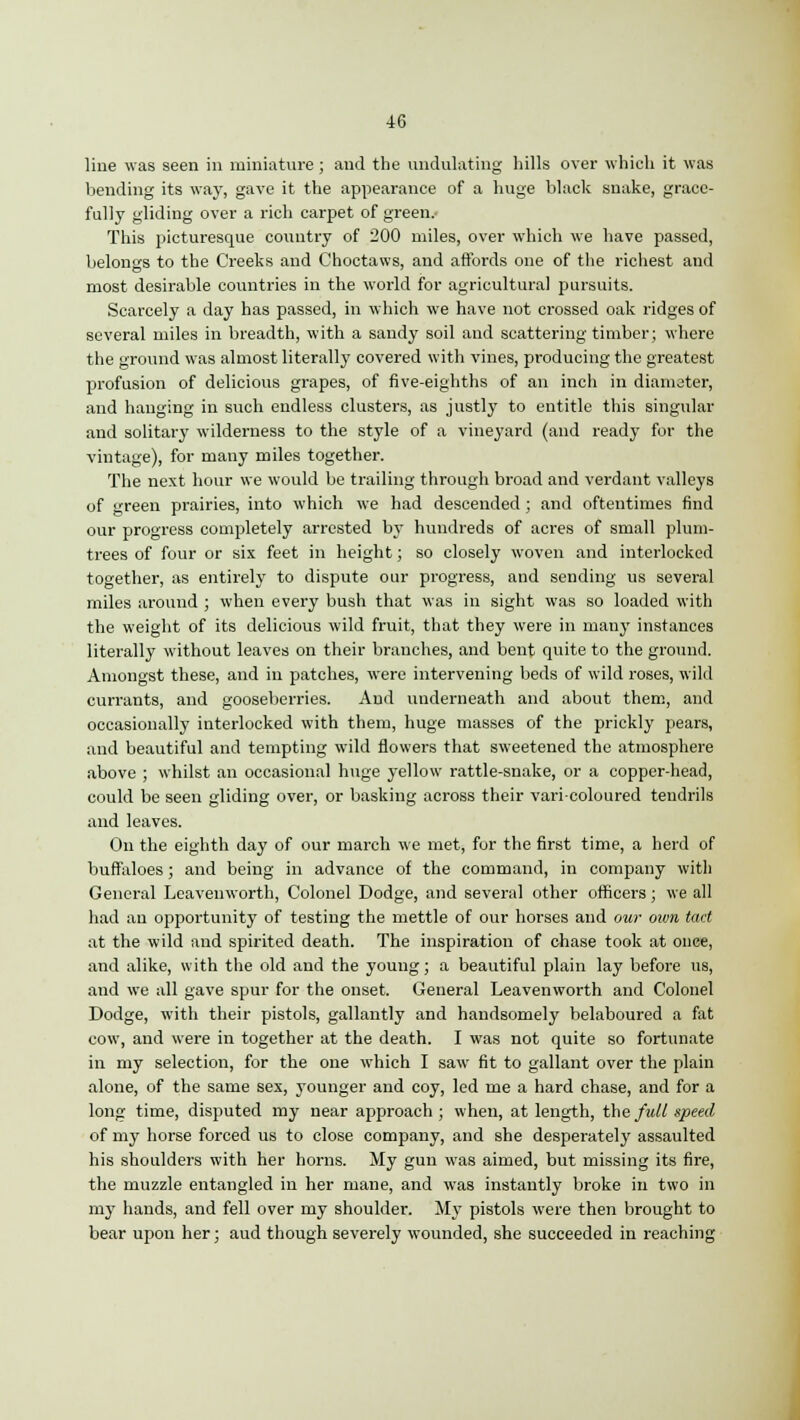 line was seen in miniature ; and the undulating hills over which it was bending its way, gave it the appearance of a huge black snake, grace- fully gliding over a rich carpet of green. This picturesque country of 200 miles, over which we have passed, belongs to the Creeks and Choctaws, and affords one of the richest and most desirable countries in the world for agricultural pursuits. Scarcely a day has passed, in which we have not crossed oak ridges of several miles in breadth, with a sandy soil and scattering timber; where the ground was almost literally covered with vines, producing the greatest profusion of delicious grapes, of five-eighths of an inch in diameter, and hanging in such endless clusters, as justly to entitle this singular and solitary wilderness to the style of a vineyard (and ready for the vintage), for many miles together. The next hour we would be trailing through broad and verdant valleys of green prairies, into which we had descended; and oftentimes find our progress completely arrested by hundreds of acres of small plum- trees of four or six feet in height; so closely woven and interlocked together, as entirely to dispute our progress, and sending us several miles around ; when every bush that was in sight was so loaded with the weight of its delicious wild fruit, that they were in many instances literally without leaves on their branches, and bent quite to the ground. Amongst these, and in patches, were intervening beds of wild roses, wild currants, and gooseberries. And underneath and about them, and occasionally interlocked with them, huge masses of the prickly pears, and beautiful and tempting wild flowers that sweetened the atmosphere above ; whilst an occasional huge yellow rattle-snake, or a copper-head, could be seen gliding over, or basking across their varicoloured tendrils and leaves. On the eighth day of our march we met, for the first time, a herd of buffaloes; and being in advance of the command, in company with General Leavenworth, Colonel Dodge, and several other officers; we all had an opportunity of testing the mettle of our horses and our own tact at the wild and spirited death. The inspiration of chase took at once, and alike, with the old and the young; a beautiful plain lay before us, and we all gave spur for the onset. General Leavenworth and Colonel Dodge, with their pistols, gallantly and handsomely belaboured a fat cow, and were in together at the death. I was not quite so fortunate in my selection, for the one which I saw fit to gallant over the plain alone, of the same sex, younger and coy, led me a hard chase, and for a long time, disputed my near approach ; when, at length, the full speed of my horse forced us to close company, and she desperately assaulted his shoulders with her horns. My gun was aimed, but missing its fire, the muzzle entangled in her mane, and was instantly broke in two in my hands, and fell over my shoulder. My pistols were then brought to bear upon her; aud though severely wounded, she succeeded in reaching