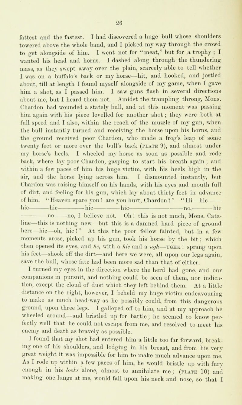 26 fattest and the fastest. I had discovered a huge bull whose shoulders towered above the whole band, and I picked my way through the crowd to get alongside of him. I went not for meat, but for a trophy ; I wanted his head and horns. I dashed along through the thundering mass, as they swept away over the plain, scarcely able to tell whether I was on a buffalo's back or my horse—hit, and hooked, and jostled about, till at length I found myself alongside of my game, when I gave him a shot, as I passed him. I saw guns flash in several directions about me, but I heard them not. Amidst the trampling throng, Mons. Chardon had wounded a stately bull, and at this moment was passing him again with his piece levelled for another shot; they were both at full speed and I also, within the reach of the muzzle of my gun, when the bull instantly turned and receiving the horse upon his horns, and the ground received poor Chardon, who made a frog's leap of some twenty feet or more over the bull's back (plate 9), and almost under my horse's heels. I wheeled my horse as soon as possible and rode back, where lay poor Chardon, gasping to start his breath again ; and within a few paces of him his huge victim, with his heels high in the air, and the horse lying across him. I dismounted instantly, but Chardon was raising himself on his hands, with his eyes and mouth full of dirt, and feeling for his gun, which lay about thirty feet in advance of him.  Heaven spare you ! are you hurt, Chardon 1  Hi—hie hie— —hie hie— —hie no,- hie —no no, I believe not. Oh ! this is not much, Mons. Cata- line—this is nothing new—but this is a damned hard piece of ground here—hie—oh, hie ! At this the poor fellow fainted, but in a few moments arose, picked up his gun, took his horse by the bit ; which then opened its eyes, and he, with a hie and a ugh—ughk ! sprang upon his feet—shook off the dirt—and here we were, all upon our legs again, save the bull, whose fate had been more sad than that of either. I turned my eyes in the direction where the herd had gone, and our companions in pursuit, and nothing could be seen of them, nor indica- tion, except the cloud of dust which they left behind them. At a little distance on the right, however, I beheld my huge victim endeavouring to make as much head-way as he possibly could, from this dangerous ground, upon three legs. I galloped oft' to him, and at my approach he wheeled around—and bristled up for battle; he seemed to know per- fectly well that he could not escape from me, and resolved to meet his enemy and death as bravely as possible. I found that my shot had entered him a little too far forward, break- ing one of his shoulders, and lodging in his breast, and from his very great weight it was impossible for him to make much advance upon me. As I rode up within a few paces of him, he would bristle up with fury enough in his looks alone, almost to annihilate me; (plate 10) and making one lunge at me, would fall upon his neck and nose, so that I