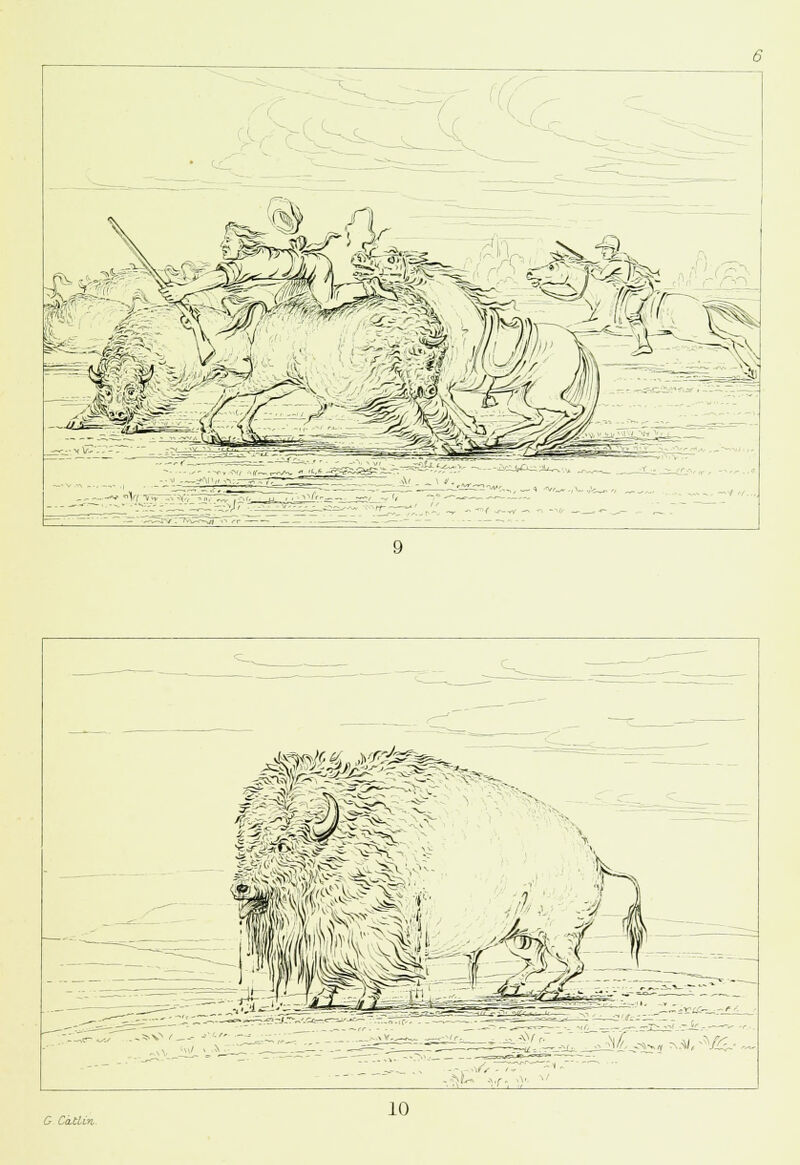 -^^^fe^^^^^^^ K _r; i..JS.AV, 10