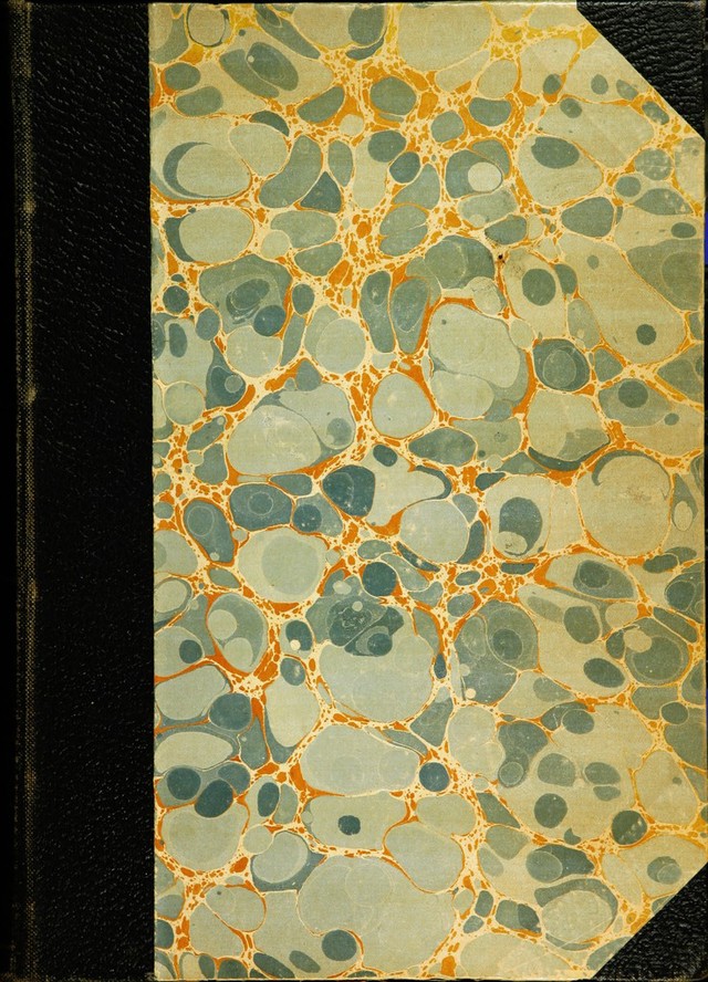 digitised image 1