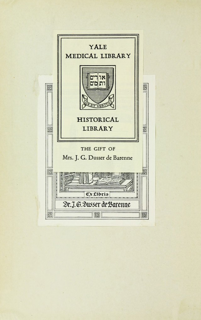 digitised image 2