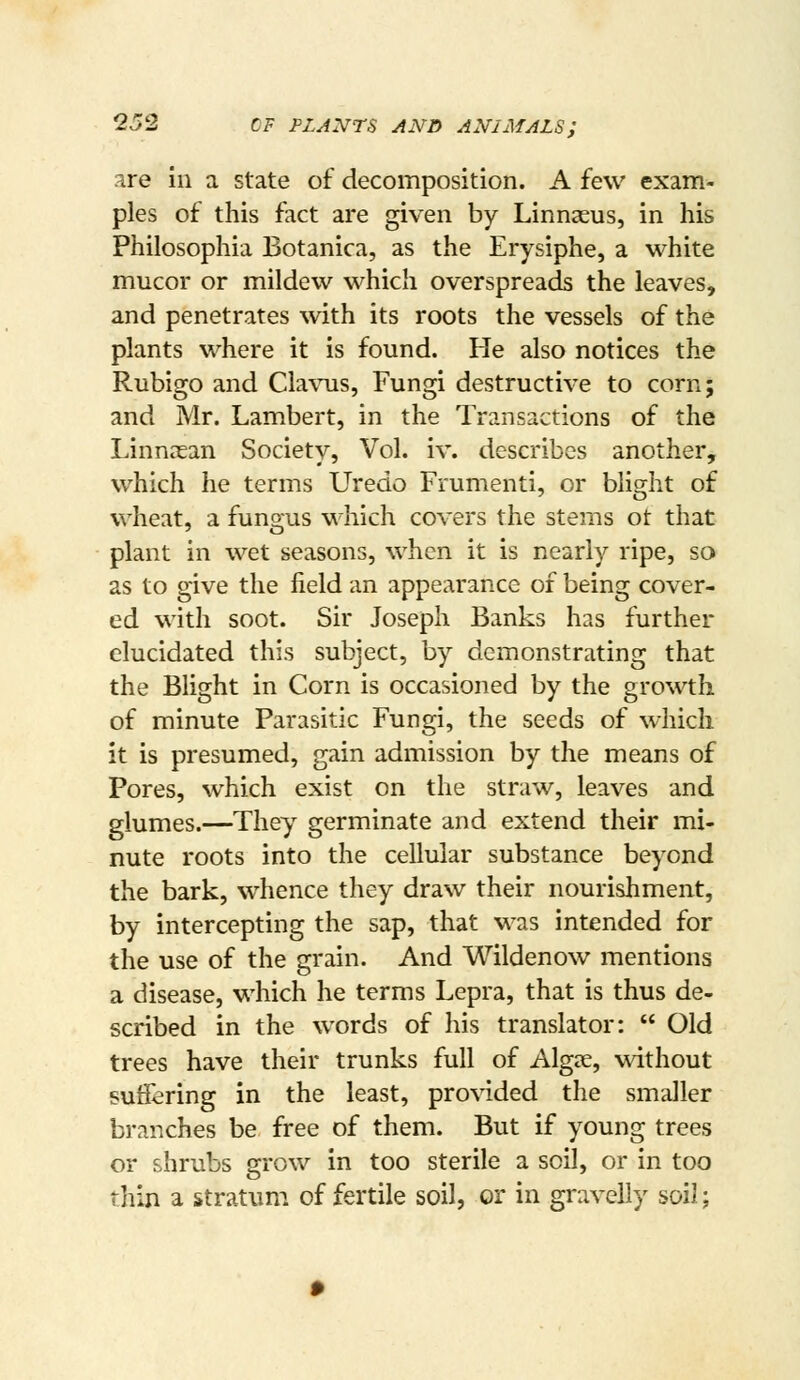 are in a state of decomposition. A few exam- ples of this fact are given by Linnaeus, in his Philosophia Botanica, as the Erysiphe, a white mucor or mildew which overspreads the leaves, and penetrates with its roots the vessels of the plants where it is found. He also notices the Rubigo and Cla\nis, Fungi destructive to corn; and Mr. Lambert, in the Transactions of the Linnacan Society, Vol. iv. describes another, which he terms Uredo Frumenti, or blight of wheat, a fungus which covers the stems ot that plant in wet seasons, when it is nearly ripe, so as to give the field an appearance of being cover- ed with soot. Sir Joseph Banks has further elucidated this subject, by demonstrating that the Blight in Corn is occasioned by the growth of minute Parasitic Fungi, the seeds of which it is presumed, gain admission by the means of Pores, which exist on the straw, leaves and glumes.—They germinate and extend their mi- nute roots into the cellular substance beyond the bark, whence they draw their nourishment, by intercepting the sap, that was intended for the use of the grain. And Wildenow mentions a disease, which he terms Lepra, that is thus de- scribed in the words of his translator:  Old trees have their trunks full of Alg^e, without suffering in the least, provided the smaller branches be free of them. But if young trees or shrubs grow in too sterile a soil, or in too thin a stratum of fertile soil, or in gravelly soil;