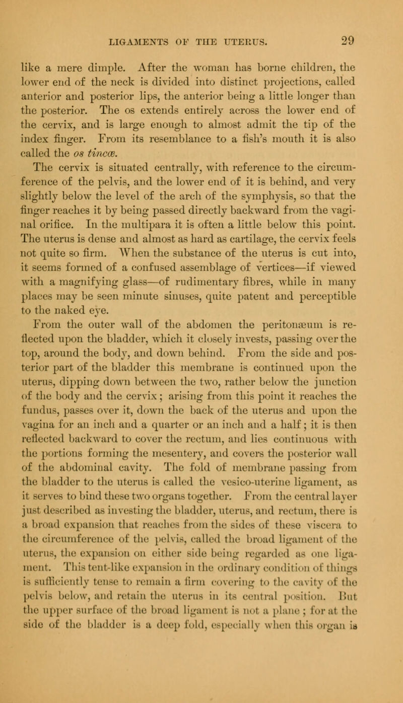 like a mere dimple. After the woman has borne children, the lower end of the neck is divided into distinct projections, called anterior and posterior lips, the anterior being a little longer than the posterior. The os extends entirely across the lower end of the cervix, and is large enough to almost admit the tip of the index finger. From its resemblance to a fish's mouth it is also called the os tincce. The cervix is situated centrally, with reference to the circum- ference of the pelvis, and the lower end of it is behind, and very Blightly below the level of the arch of the symphysis, so that the finger reaches it by being passed directly backward from the vagi- nal orifice. In the multipara it is often a little below this point. The uterus is dense and almost as hard as cartilage, the cervix feels not quite so firm. AVhen the substance of the uterus is cut into, it seems formed of a confused assemblage of vertices—if viewed with a magnifying glass—of rudimentary fibres, while in many places may be seen minute sinuses, quite patent and perceptible to the naked eye. From the outer wall of the abdomen the peritonaeum is re- flected upon the bladder, which it closely invests, passing over the lop, around the body, and down behind. From the side and pos- terior part of the bladder this membrane is continued upon the Uterus, dipping down between the two, rather below the junction of the body and the cervix ; arising from this point it reaches the fundus, passes over it. down the back of the uterus and upon the vagina lor an inch and a quarter or an inch and a half; it is then reflected backward to cover the rectum, and lies continuous with the portions forming the mesentery, and covers the posterior wall of the abdominal cavity. The Eold of membrane passing from the bladder to the uterus is railed the vesico-uterine Ligament, as it Bervee to hind these two organs together. From the central layer just described as investing the bladder, uterus, and rectum, there is a broad expansion that reaches from the sides of these viscera to the circumference of the pelvis, called the broad ligament ^i' the uterus, the expansion on either >i<lc being regarded a- one liga- ment. This tent like expansion in the ordinary condition of things is sufficiently tense t<> remain a firm covering t<» the cavifr <>t' the pelvis below, and retain the uterus in it- central position. But the upper Burface of the broad ligament is uot a plane ; for at the Bide of the bladder Is a deep Eold, especially when this organ is