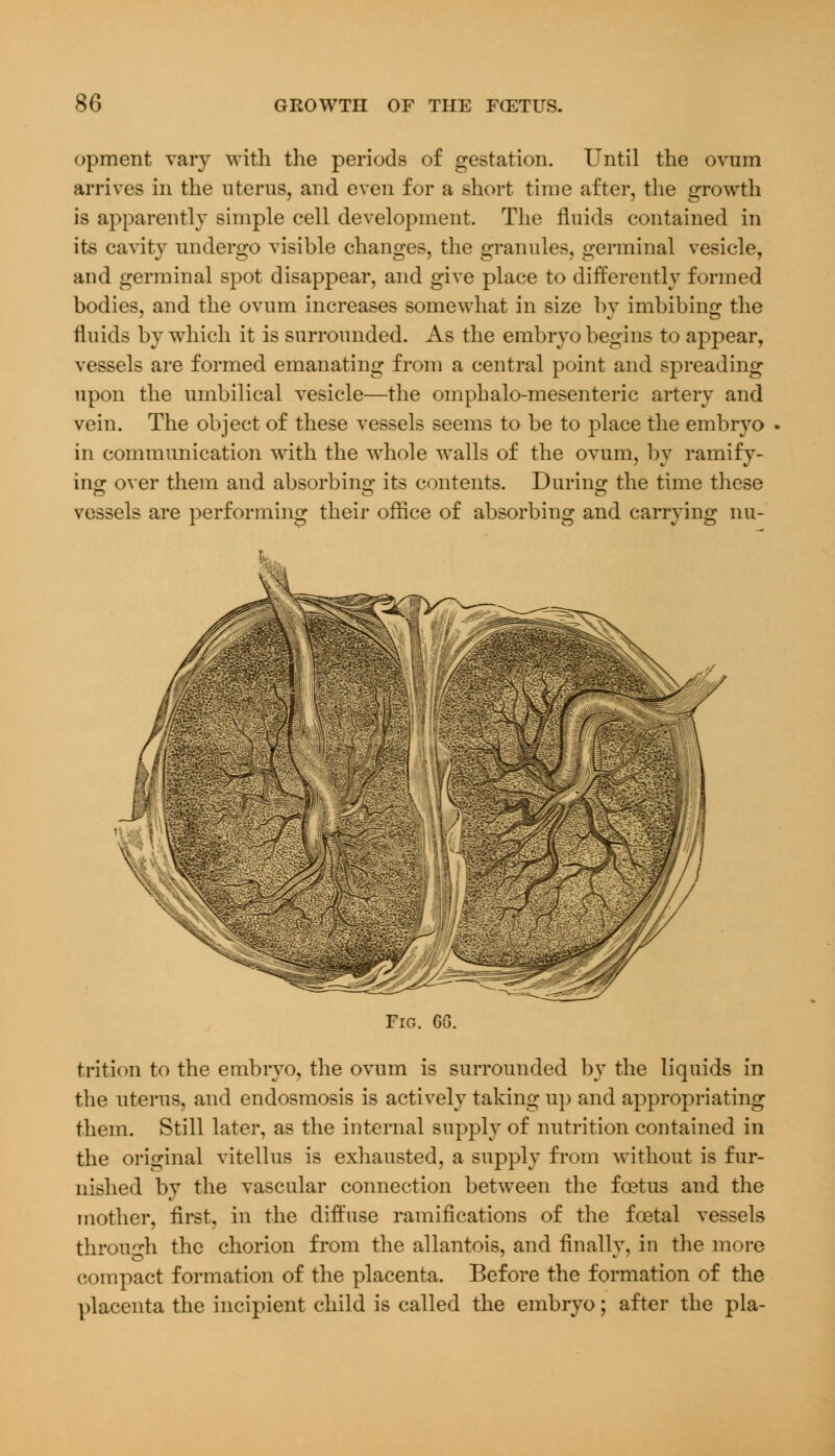 opment vary with the periods of gestation. Until the ovum arrives in the uterus, and even for a short time after, the growth is apparently simple cell development. The fluids contained in its cavity undergo visible changes, the granules, germinal vesicle, and germinal spot disappear, and give place to differently formed bodies, and the ovum increases somewhat in size bv imbibing the fluids by which it is surrounded. As the embryo begins to appear, vessels are formed emanating from a central point and spreading upon the umbilical vesicle—the omphalo-mesenteric artery and vein. The object of these vessels seems to be to place the embryo in communication with the whole walls of the ovum, by ramify- ing over them and absorbing its contents. During the time these vessels are performing their office of absorbing and carrying nu- trition to the embryo, the ovum is surrounded by the liquids in the uterus, and endosmosis is actively taking up and appropriating them. Still later, as the internal supply of nutrition contained in the original vitellus is exhausted, a supply from without is fur- nished by the vascular connection between the foetus and the mother, first, in the diffuse ramifications of the foetal vessels through the chorion from the allantois, and finally, in the more compact formation of the placenta. Before the formation of the placenta the incipient child is called the embryo; after the pla-