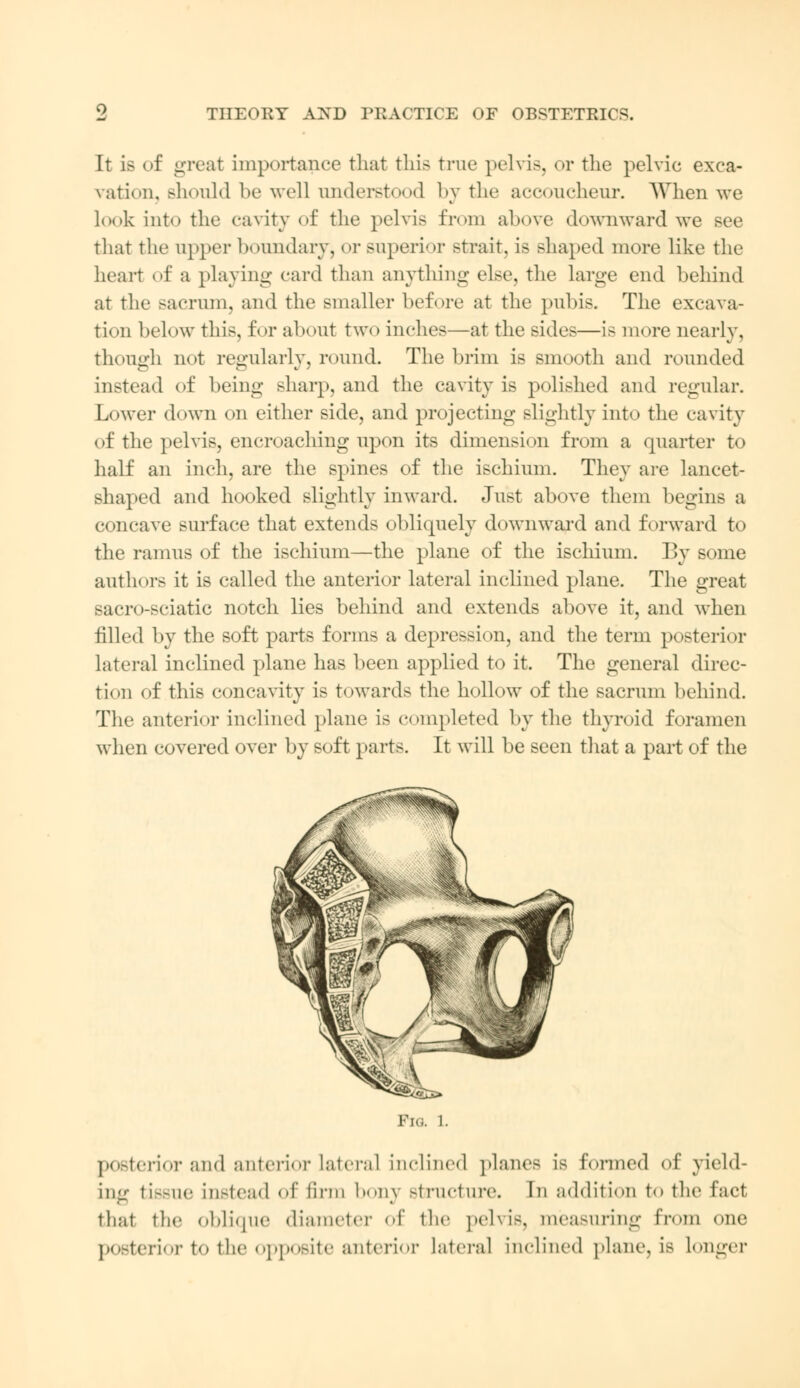 It is of great importance that this true pelvis, or the pelvic exca- vation, should be well understood by the accoucheur. AVhen we look into the cavity of the pelvis from above downward we see that the upper boundary, or superior strait, is shaped more like the heart of a playing card than anything else, the large end behind at the sacrum, and the smaller before at the pubis. The excava- tion below this, for about two inches—at the sides—is more nearly. though not regularly, round. The brim is smooth and rounded instead of being sharp, and the cavity is polished and regular. Lower down on either side, and projecting slightly into the cavity of the pelvis, encroaching upon its dimension from a quarter to half an inch, are the spines of the ischium. They are lancet- shaped and hooked slightly inward. Just above them begins a concave surface that extends obliquely downward and forward to the ramus of the ischium—the plane of the ischium. By some authors it is called the anterior lateral inclined plane. The great sacro-sciatic notch lies behind and extends above it, and when filled by the soft parts forms a depression, and the term posterior Lateral inclined plane has been applied to it. The general direc- tion of this concavity is towards the hollow of the sacrum behind. The anterior inclined plane is completed by the thyroid foramen when covered over by soft parts. It will be seen that a part of the Fig. 1. posterior and anterior lateral inclined planes is formed of yield- ing tissue instead of firm bony structure. In addition to the fact that the oblique diameter of the pelvis, measuring from one posterior to the opposite anterior Lateral inclined plane, is Longer