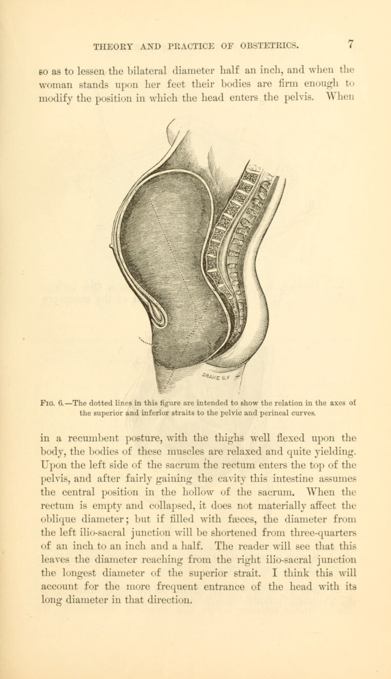 bo as to lessen the bilateral diameter half an inch, and when the woman stand* upon her feet their bodies are firm enough to modify the position in which the head enters the pelvis. When Fig. 6.—The dotted lines in this figure are intended to show the relation in the axes of the superior and inferior straits to the pelvic and perineal curves. in a recumbent posture, with the thighs well flexed upon the body, the bodies of these muscles are relaxed and quite yielding. Upon the left side of the sacrum the rectum enters the top of the pelvis, and after fairly gaining the cavity this intestine assumes the central position in the hollow of the sacrum. When the rectum is empty and collapsed, it does not materially affect the oblique diameter; but if filled with fa3ces, the diameter from the left ilio-sacral junction will be shortened from three-quarters of an inch to an inch and a half. The reader will see that this leaves the diameter reaching from the right ilio-sacral junction the longest diameter of the superior strait. I think this will account for the more frequent entrance of the head with its long diameter in that direction.